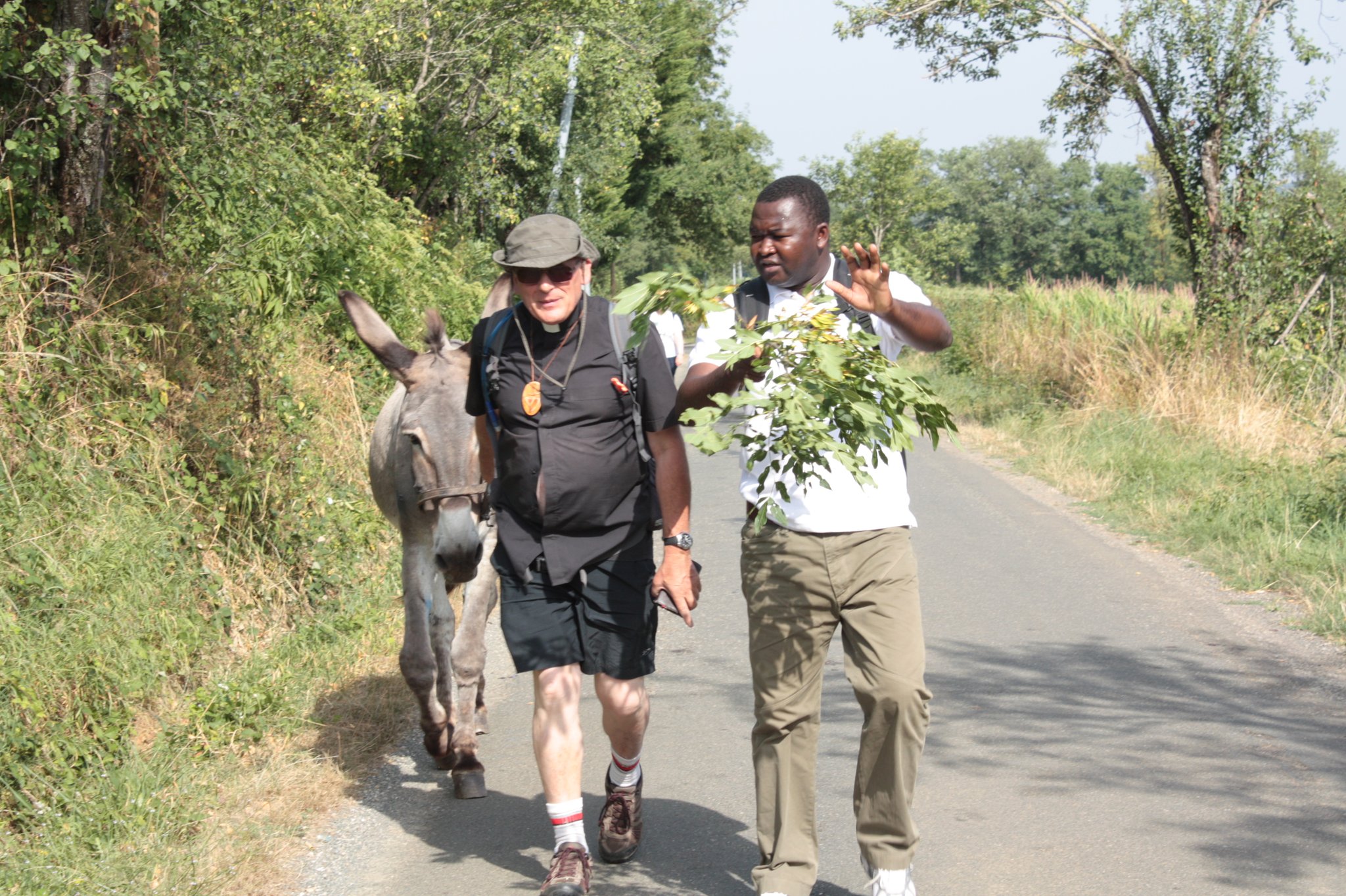 Mar. 7 août 2018 : de Puylagarde à Parisot