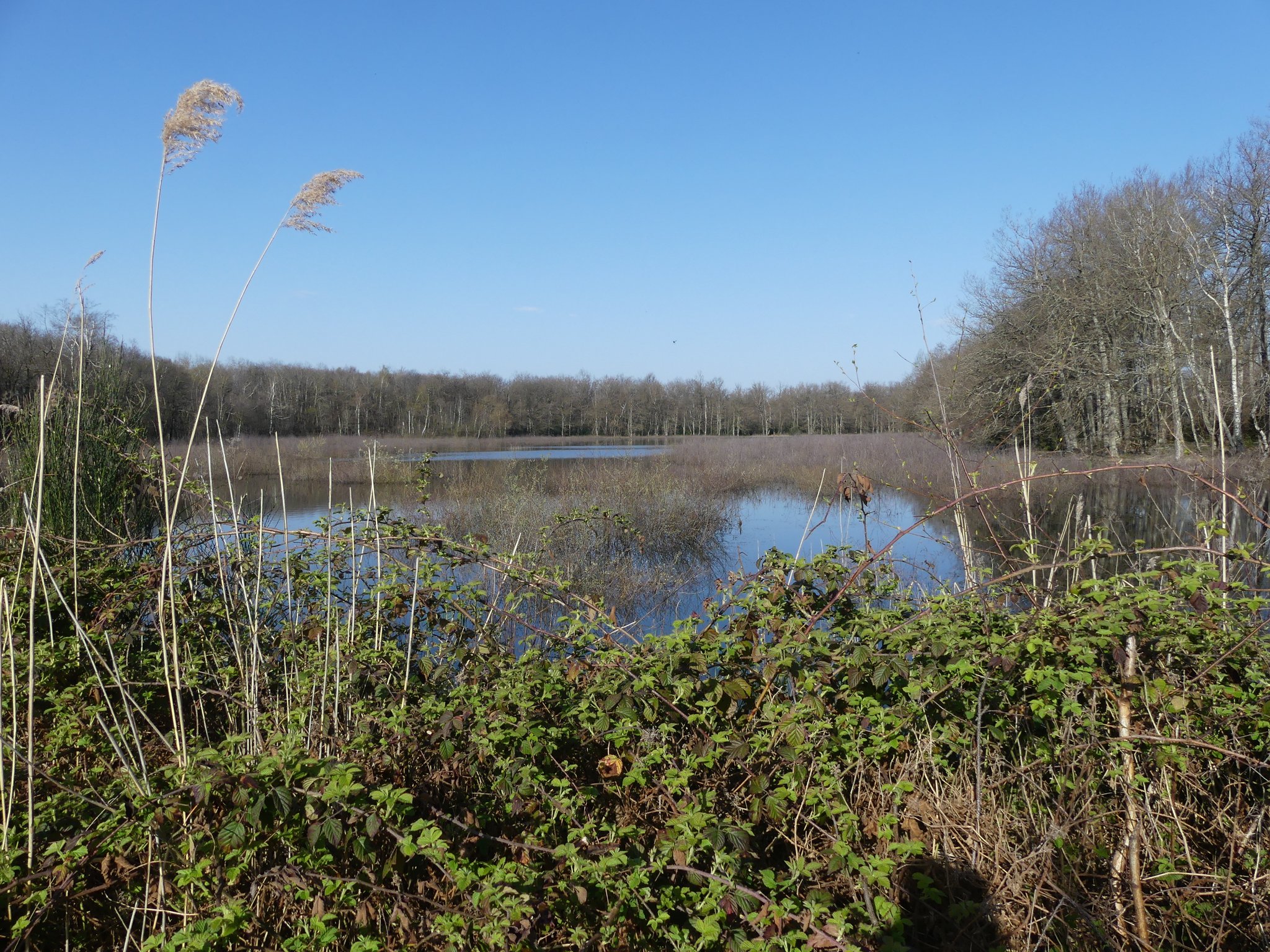 Vue du Grand Albert depuis la digue du Haut Albert