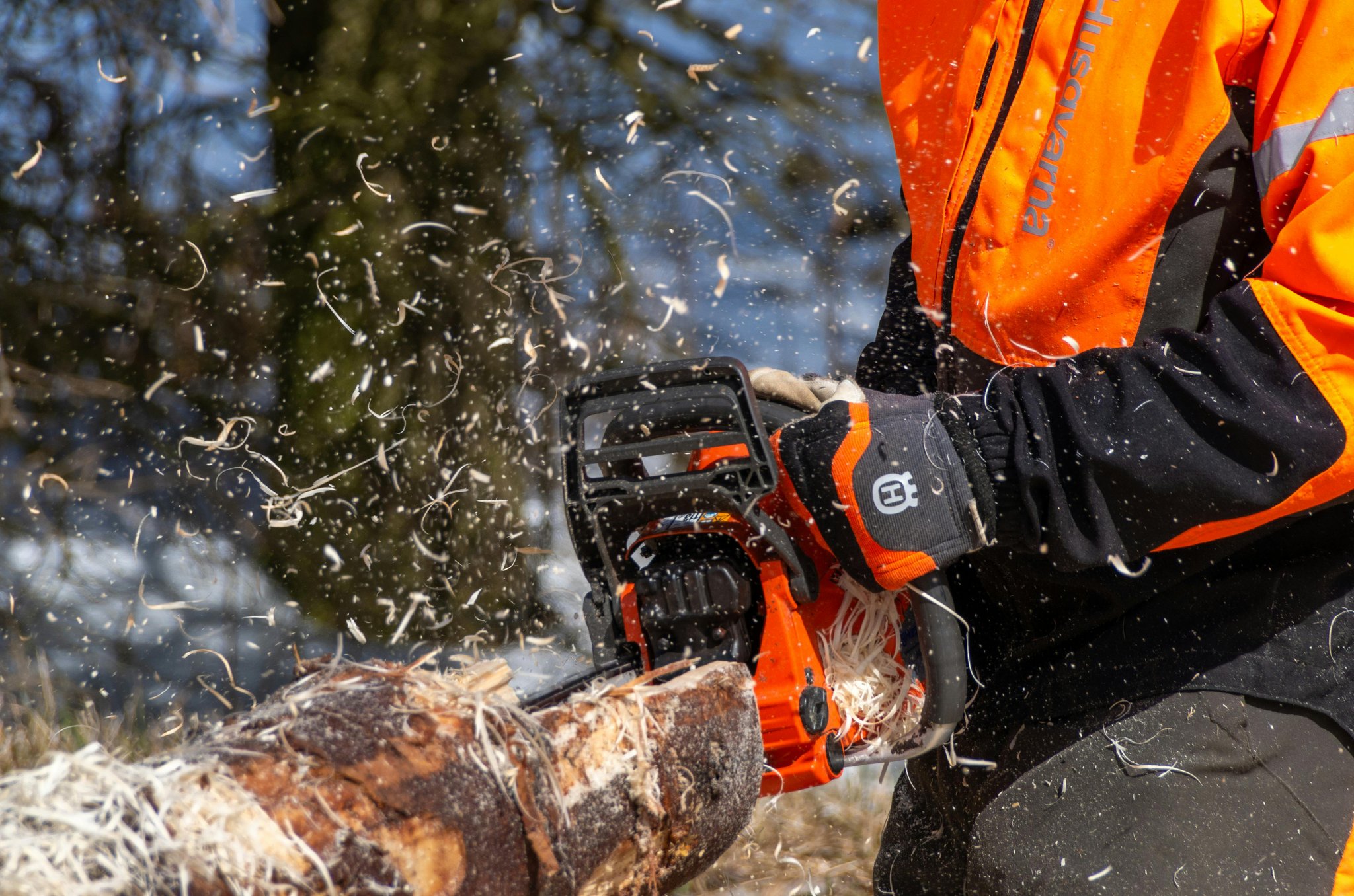 Close-up of a Stihl chainsaw cutting through a log.