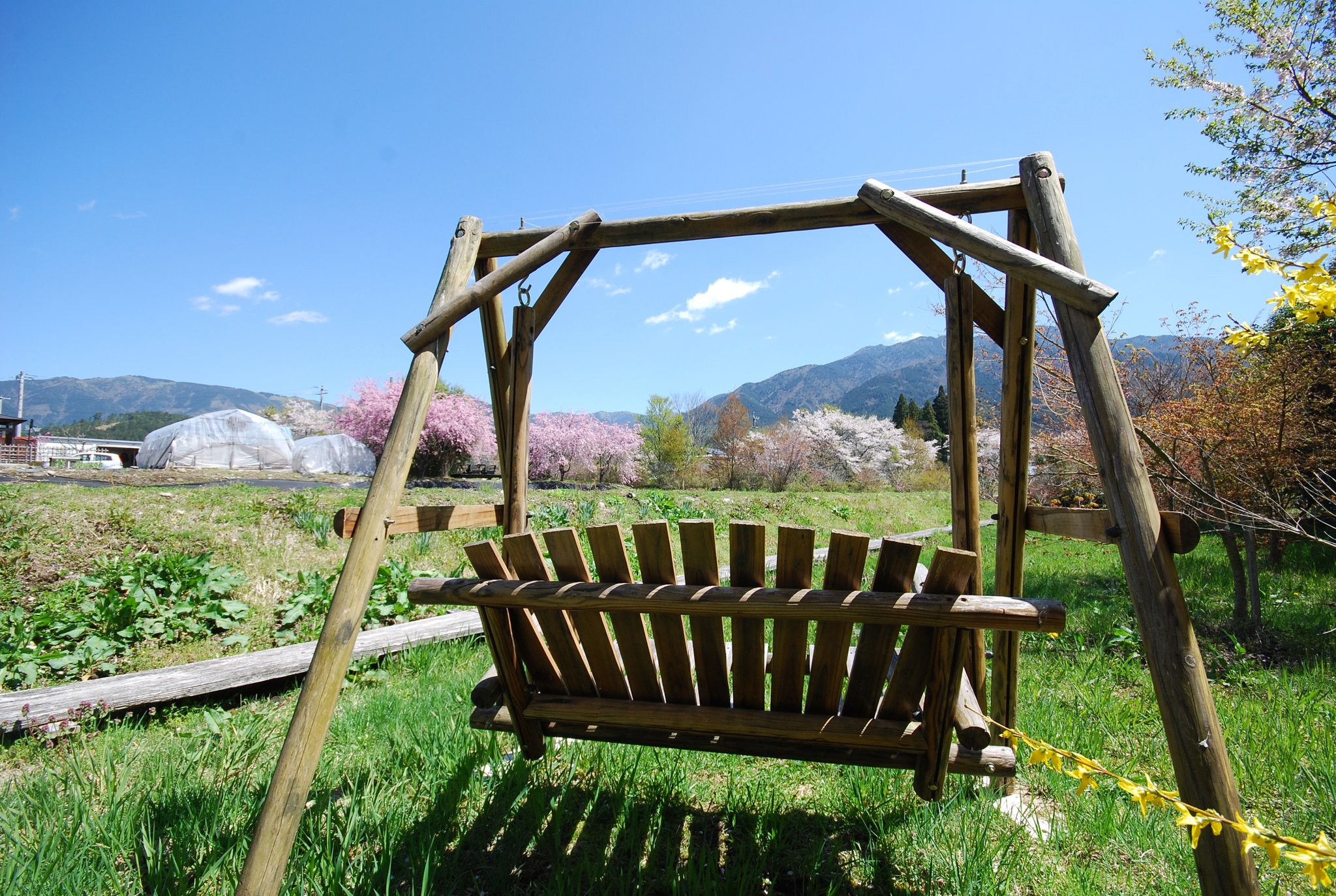 ブランコから見る春の敷地