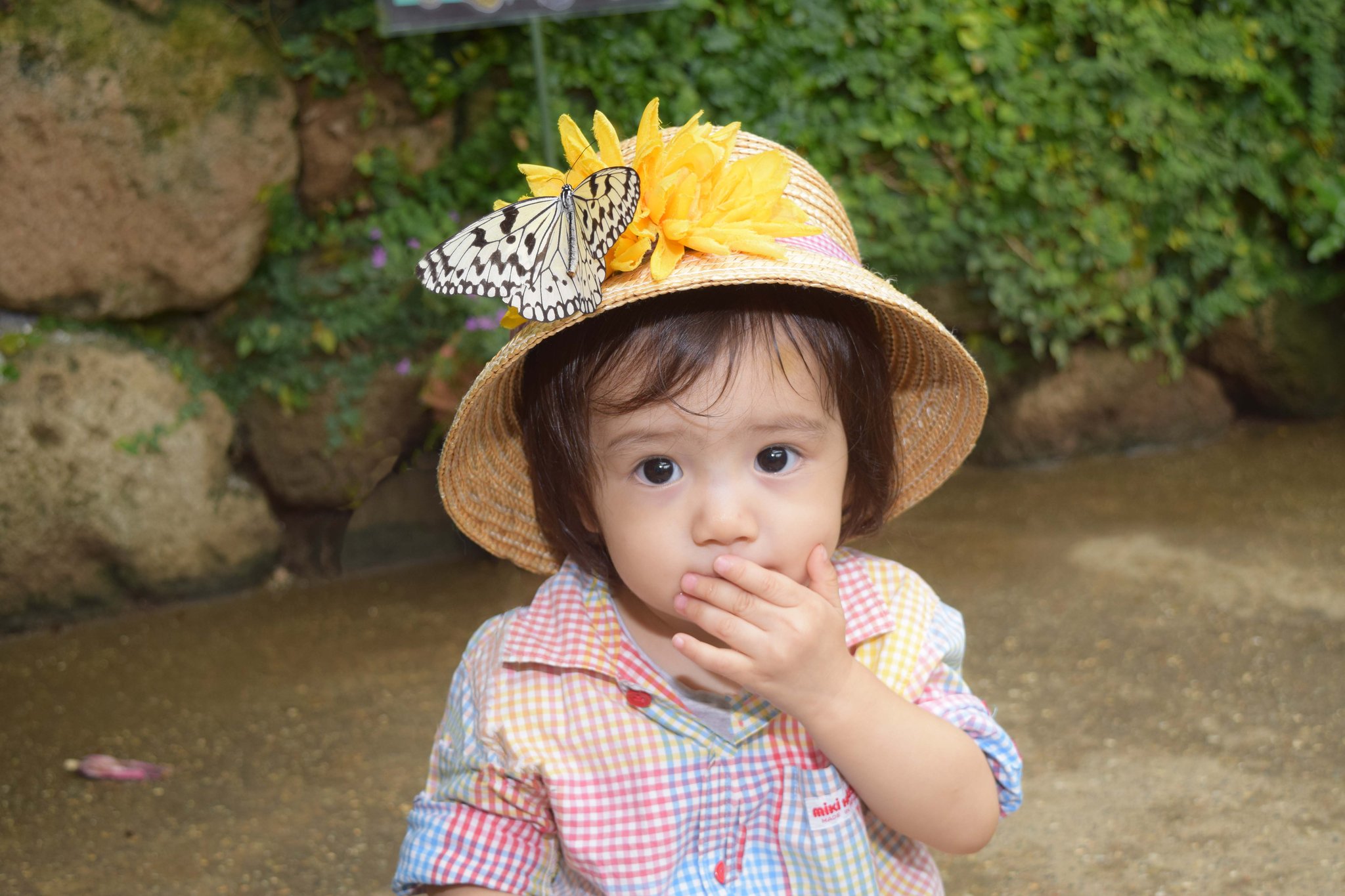 Butterfly gathering hat 