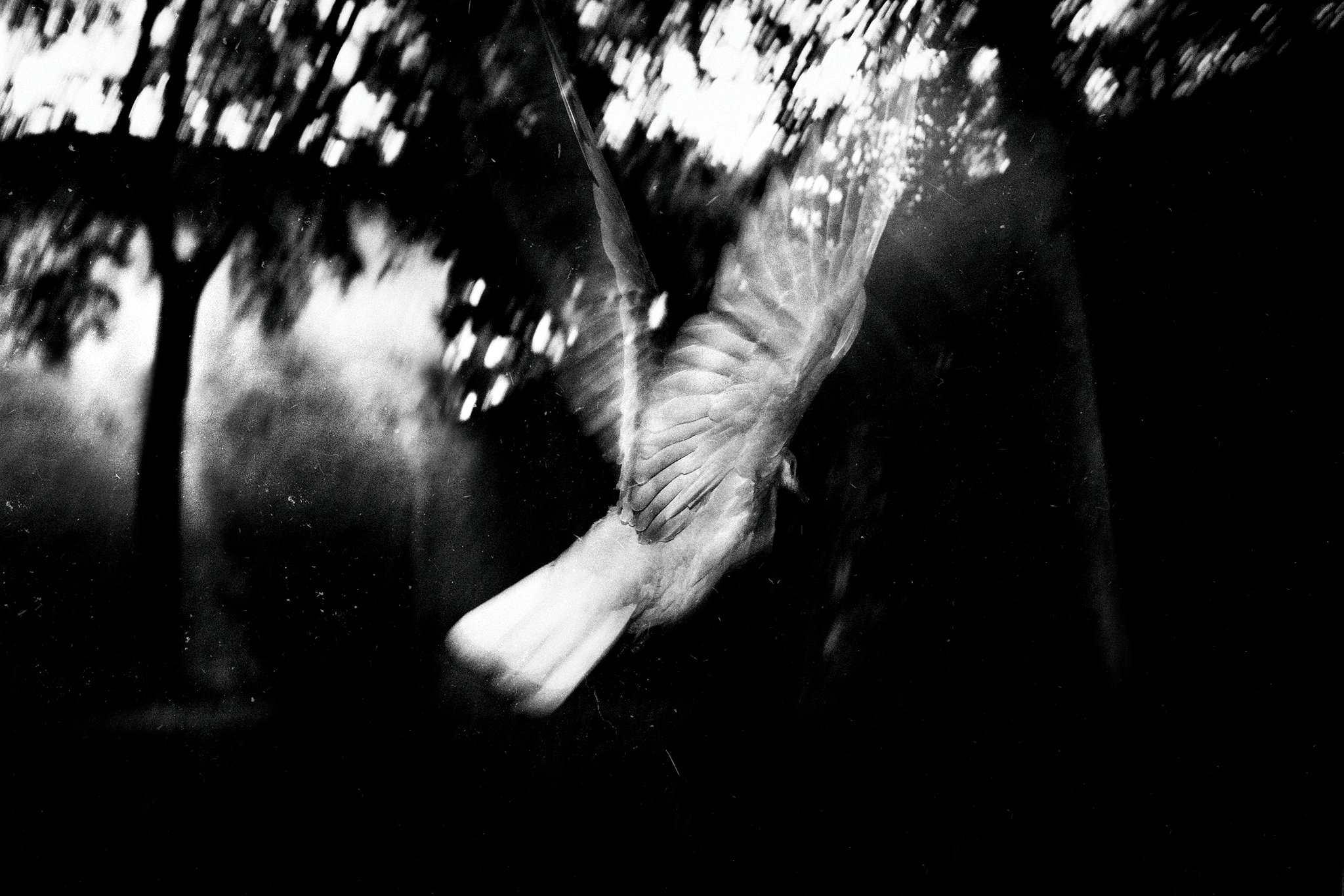 Série "Périphérique - 30 x 45 cm - Toulouse, avril 2018 - Photographie de David Siodos