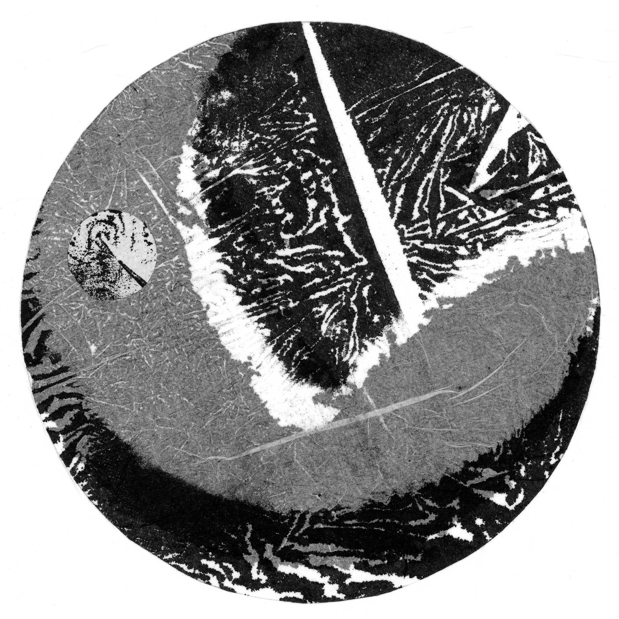 "Comme une fleur 1" - encre de chine sur papier mouchoir - diamtre 18cm