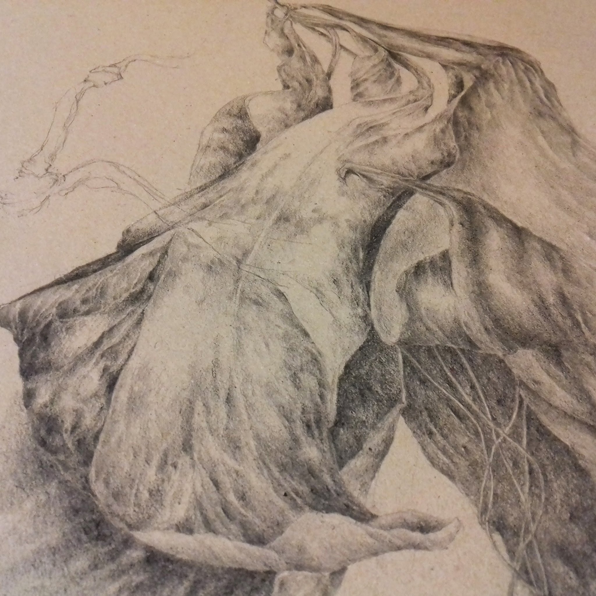 "Grand lys peau paysage" - détail - graphite sur carton - Oeuvre de Carole Nouet.