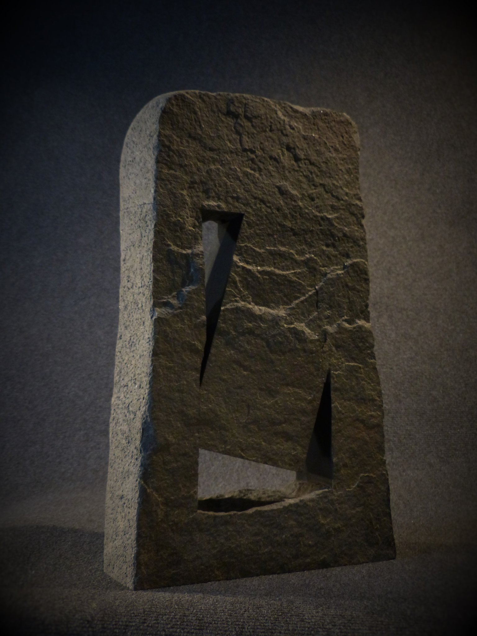L'envol - diorite - 50x30x8 cm