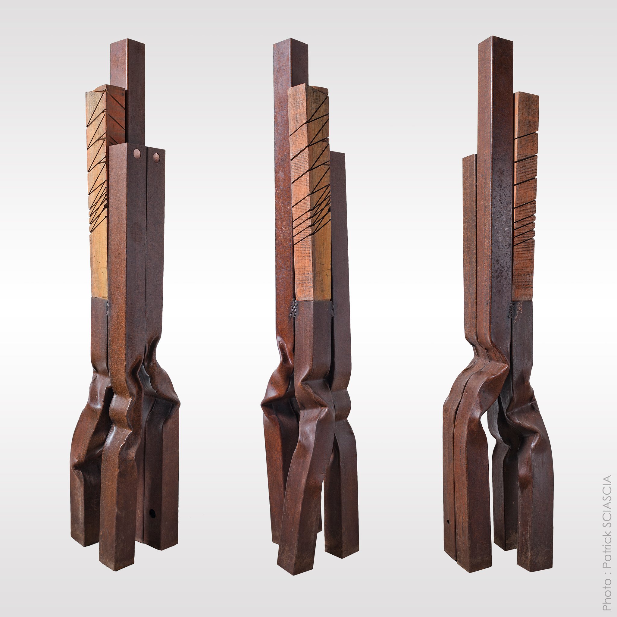 Sans titre, métal et bois 160x40x36cm