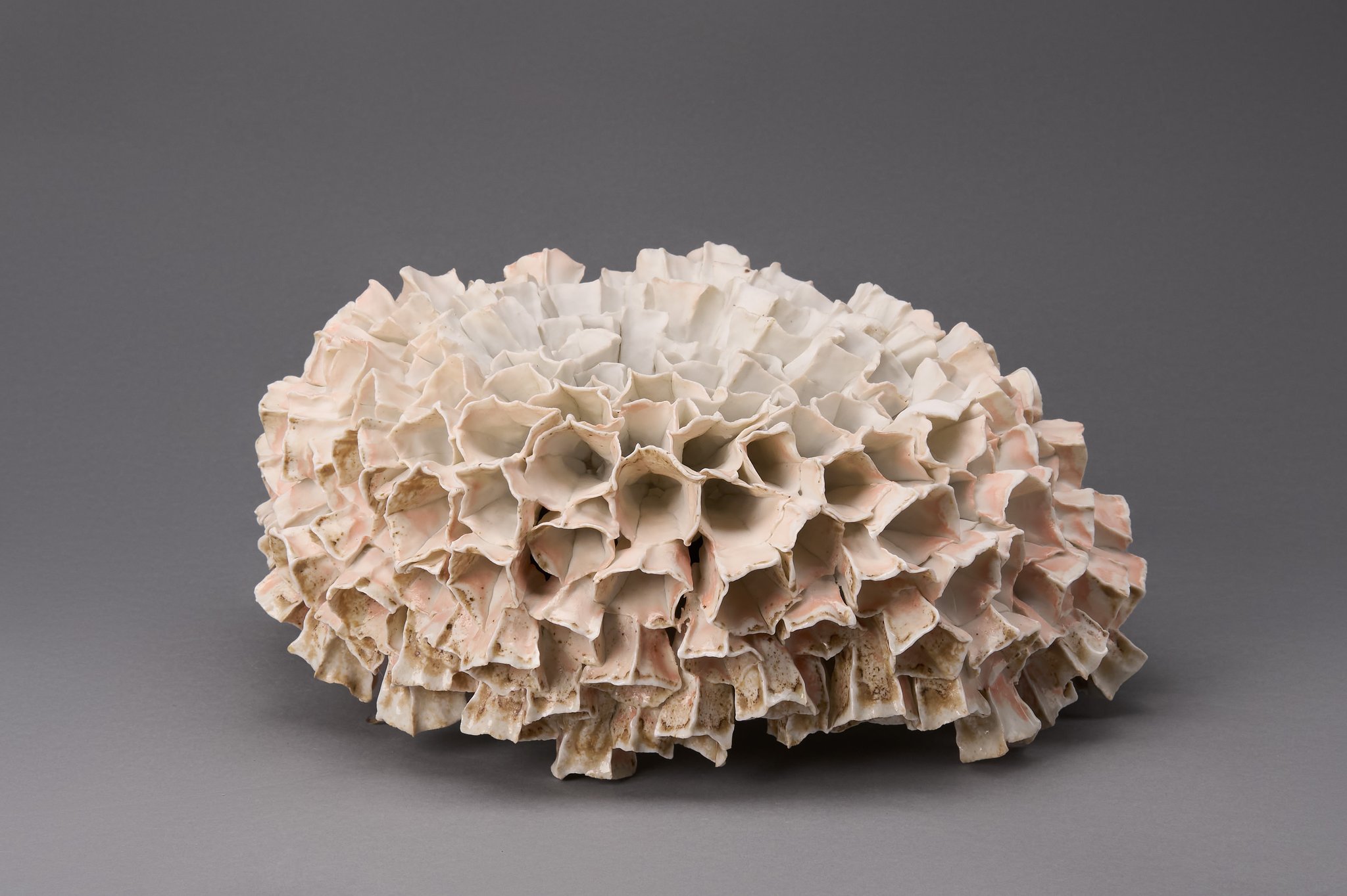 "Corolles Echinidées"  porcelaine modelée - H35 x l13 x L33