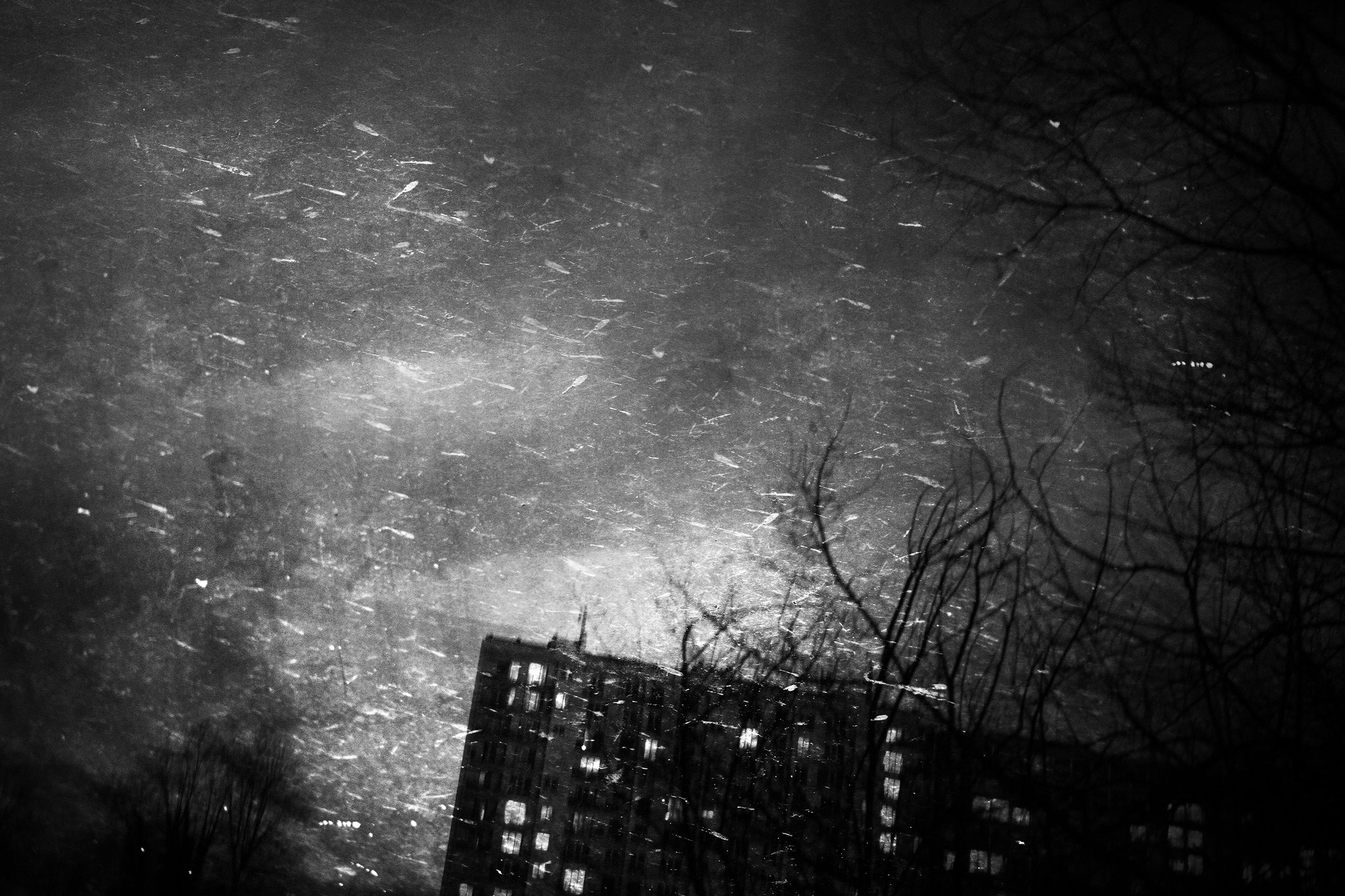 Série "A l'ombre des vivants" - 50 x 75 cm - Toulouse, janvier 2018