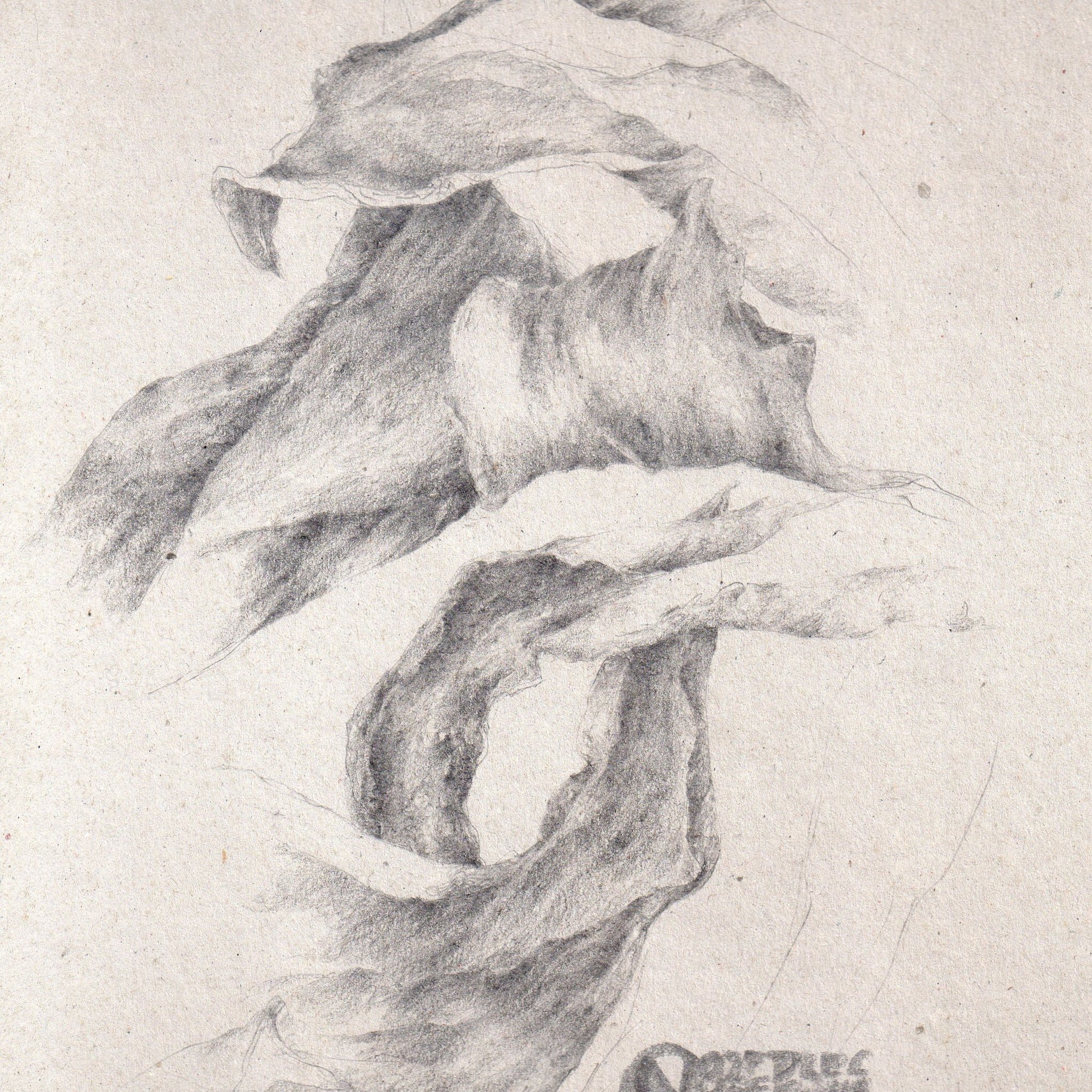 "Cascade" - graphite sur carton - 35 x 45 - Oeuvre de Carole Nouet