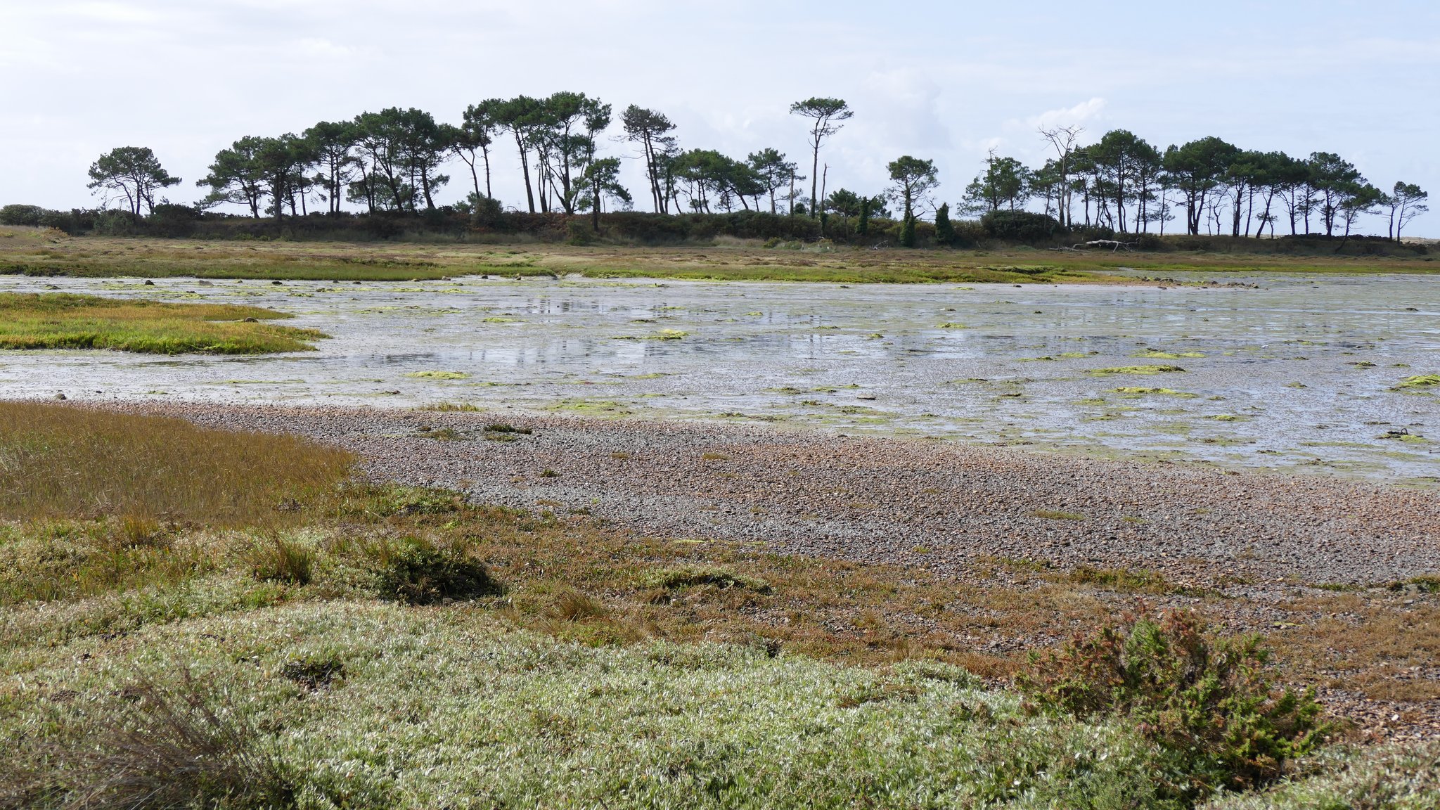 Île aux Pins - Riantec