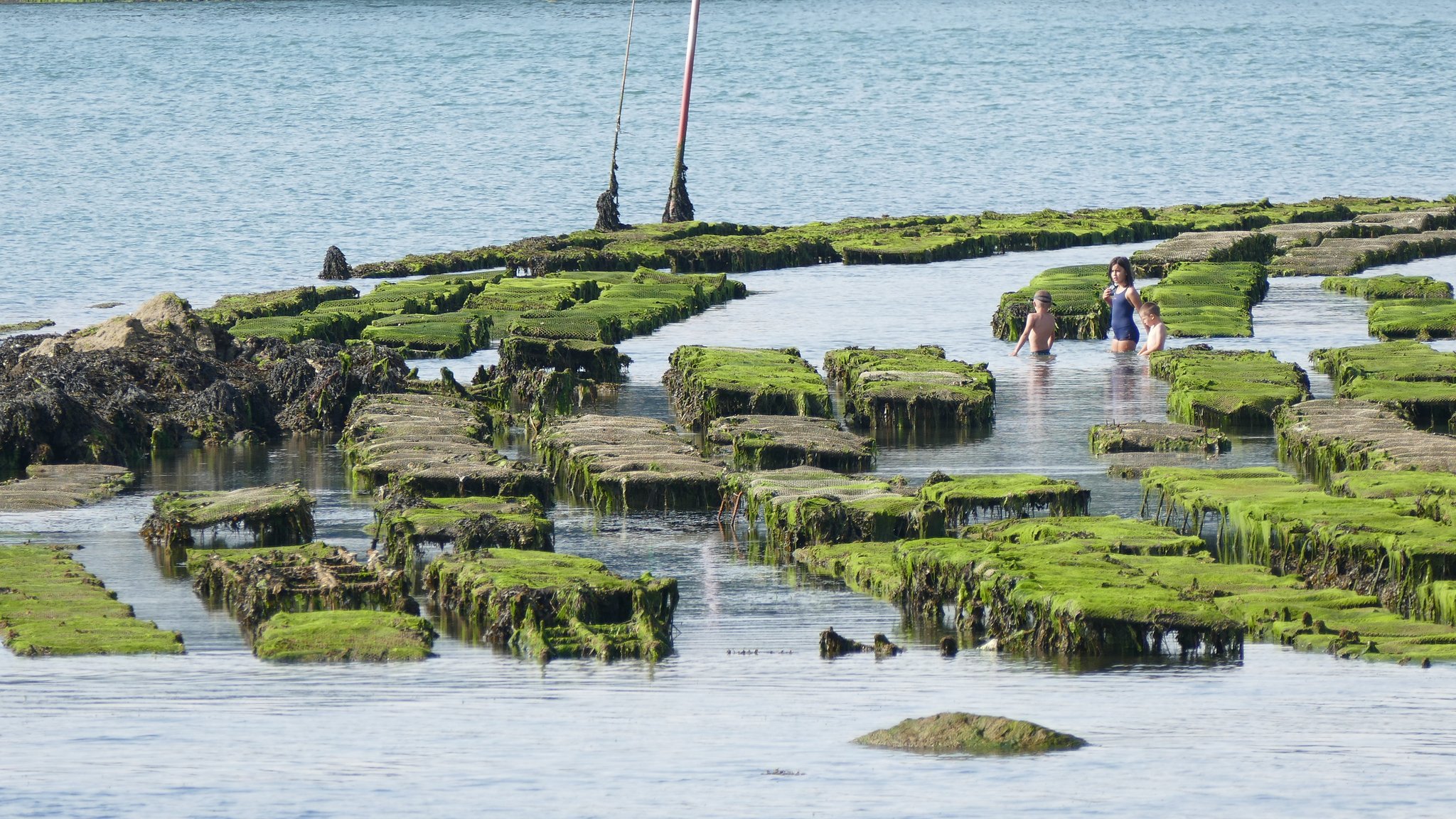 ST Cado - Parcs à Huitres - Belz