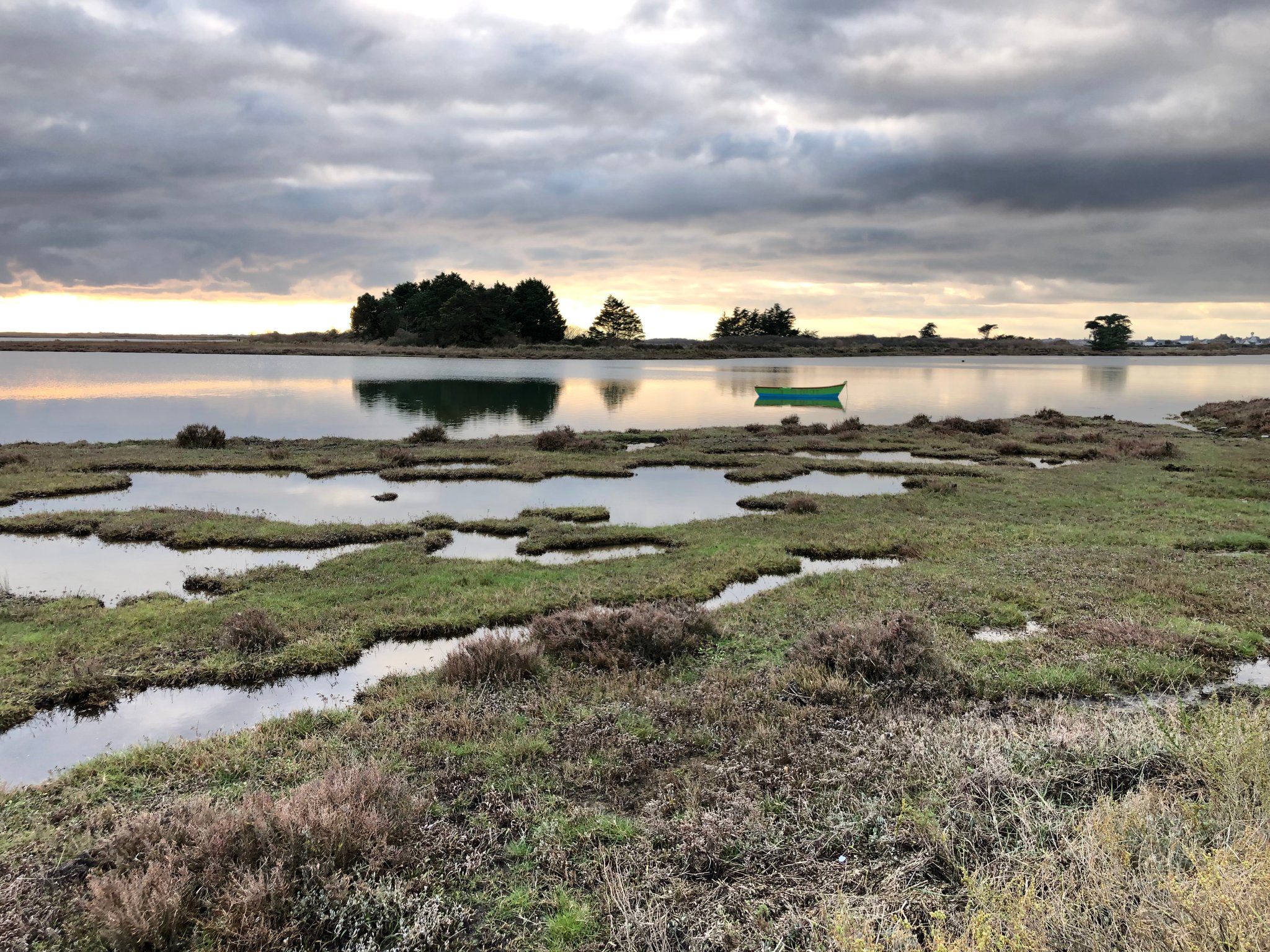 Riantec - Prés salés