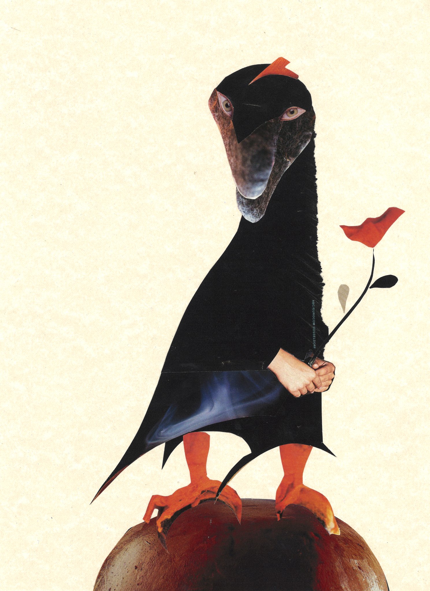 Collage by Sae Kimura