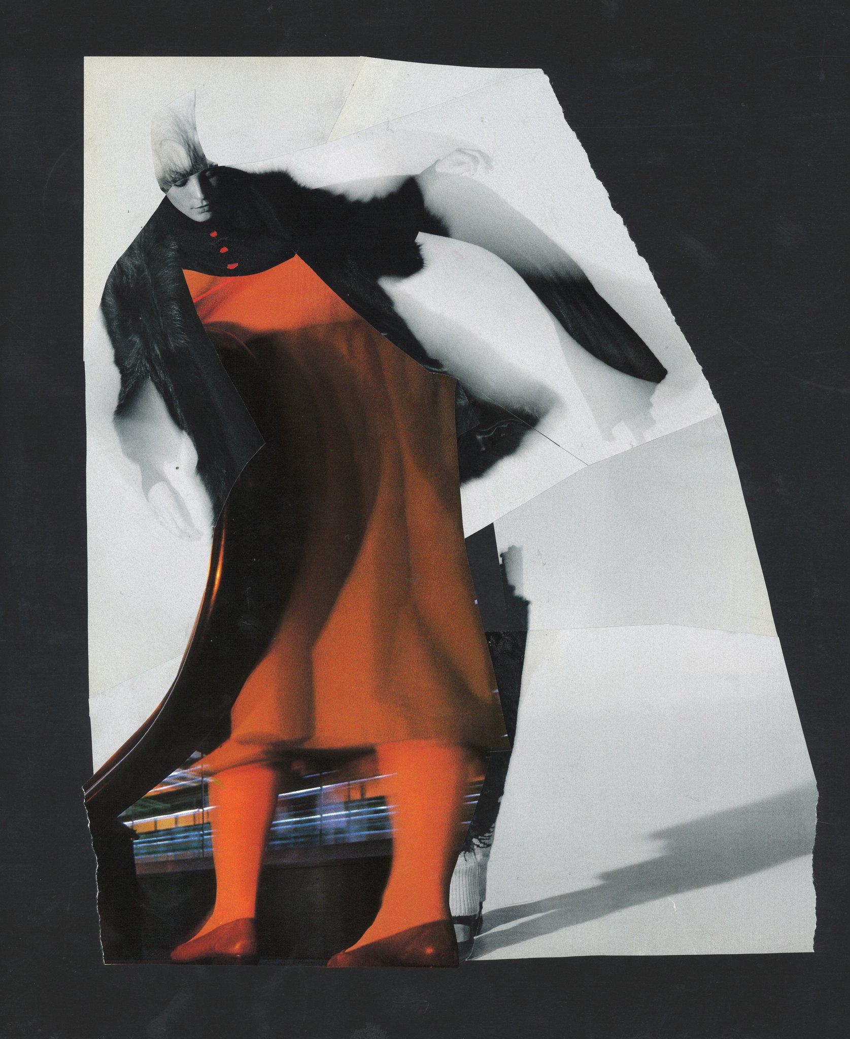 Collage by Sae Kimura