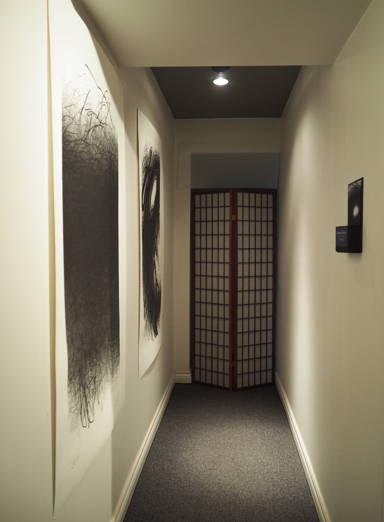 Drawings by David Sapp