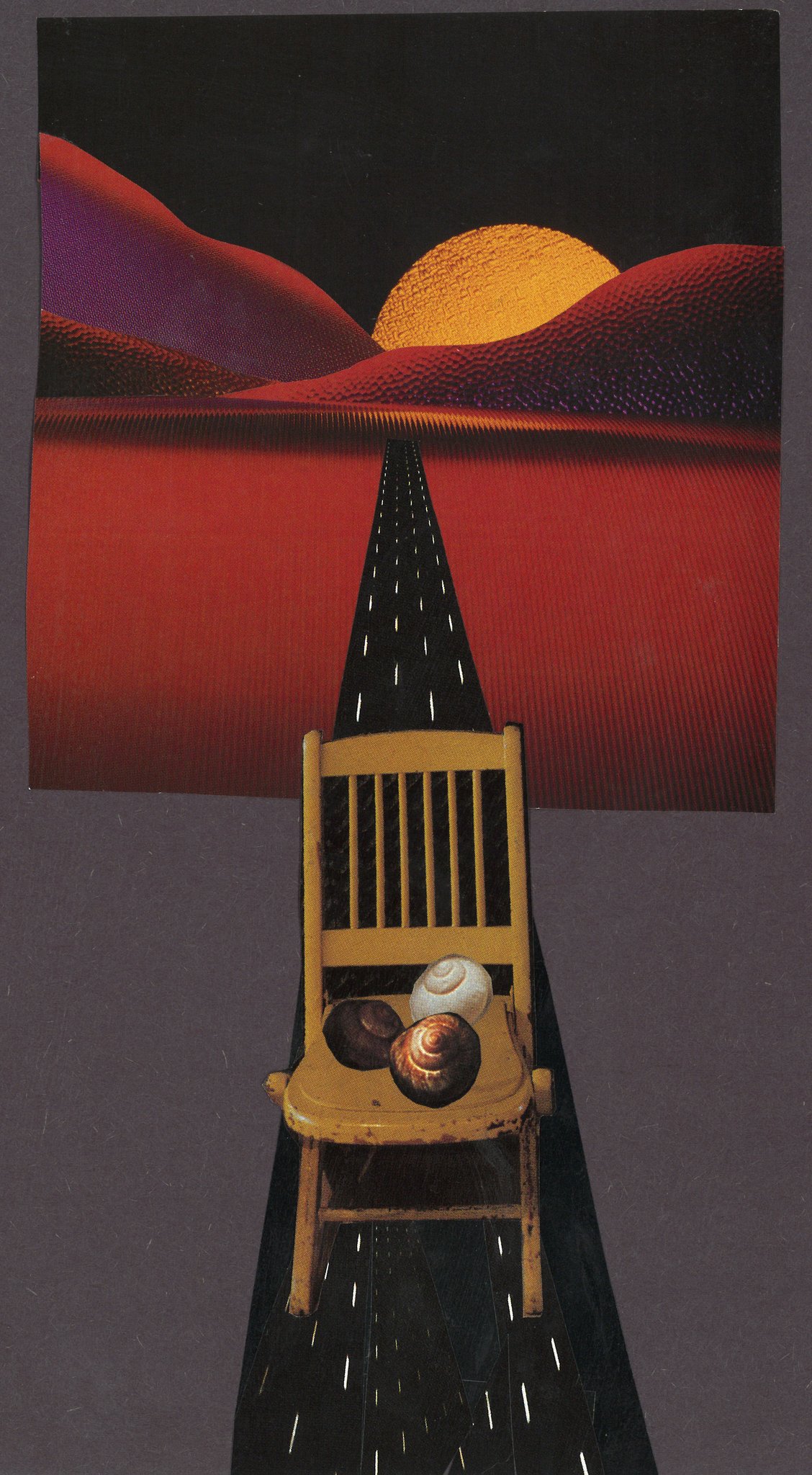 Collage by Sae Kimura