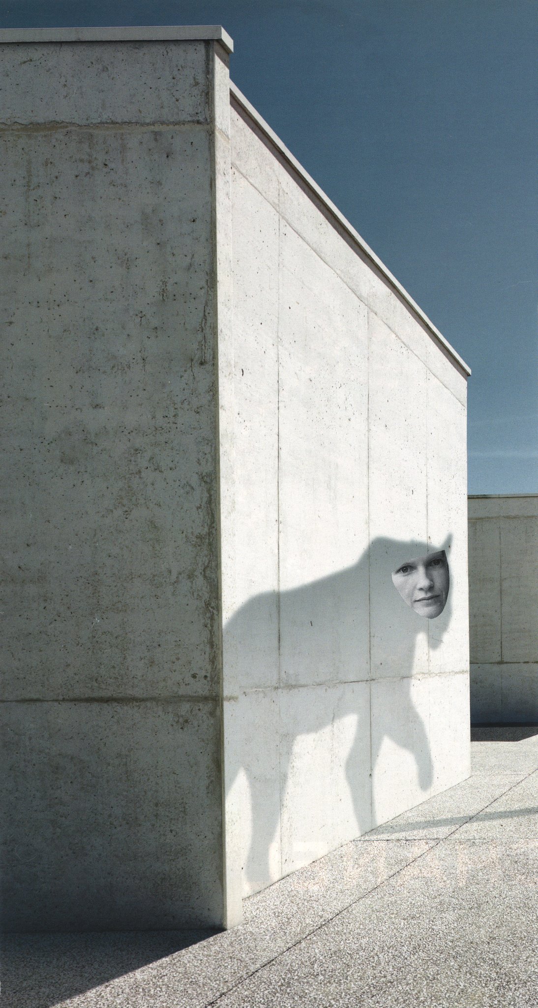 Collage by deborah harris