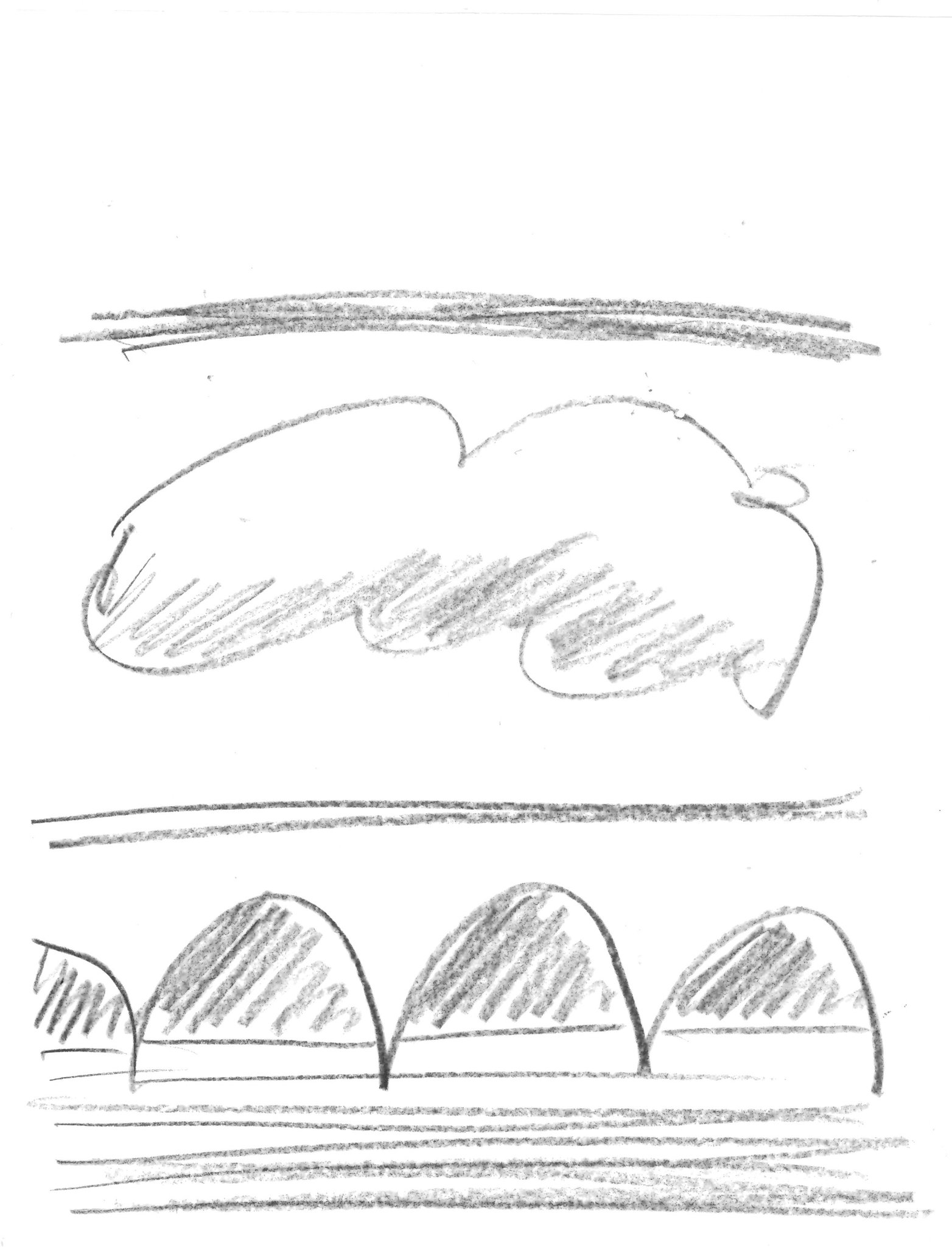 drawing by deborah harris