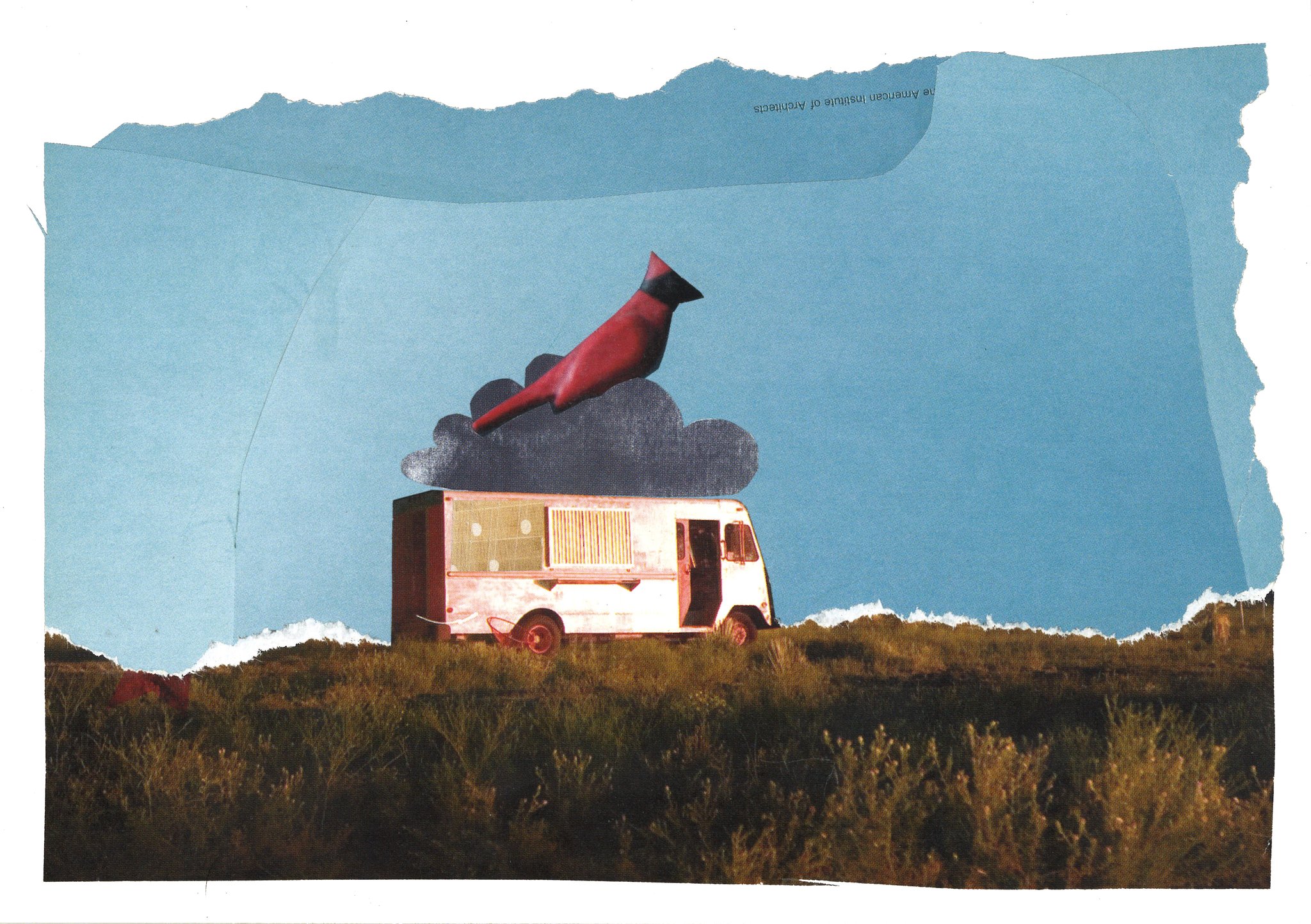 Collage by Sae Kimura