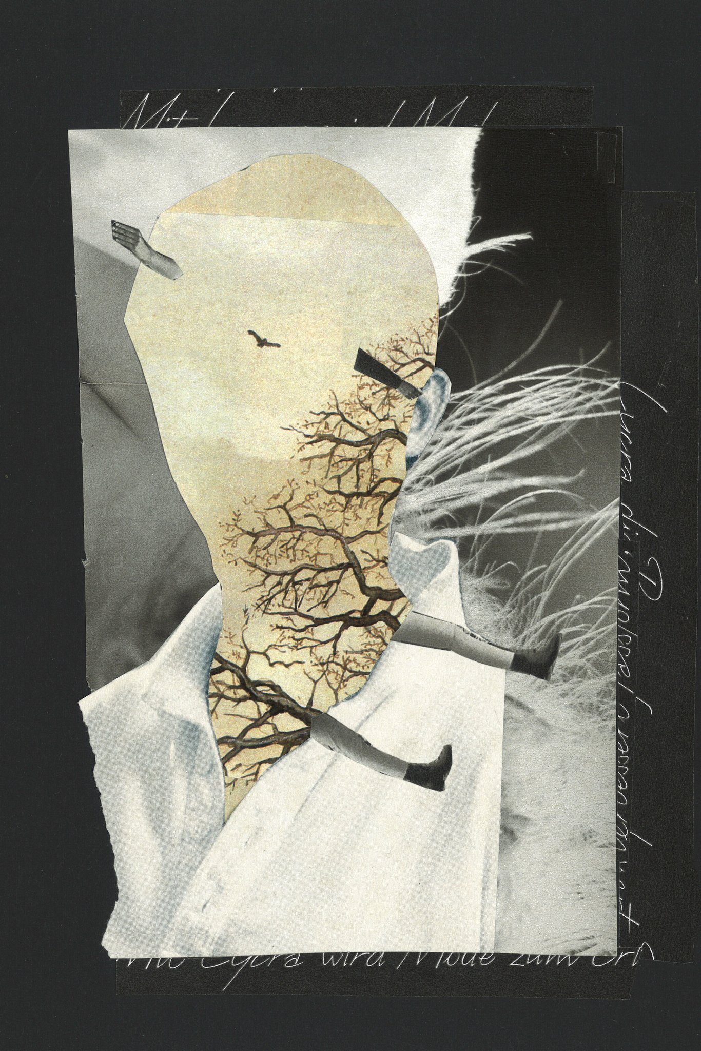 Collage by Sae Kimura