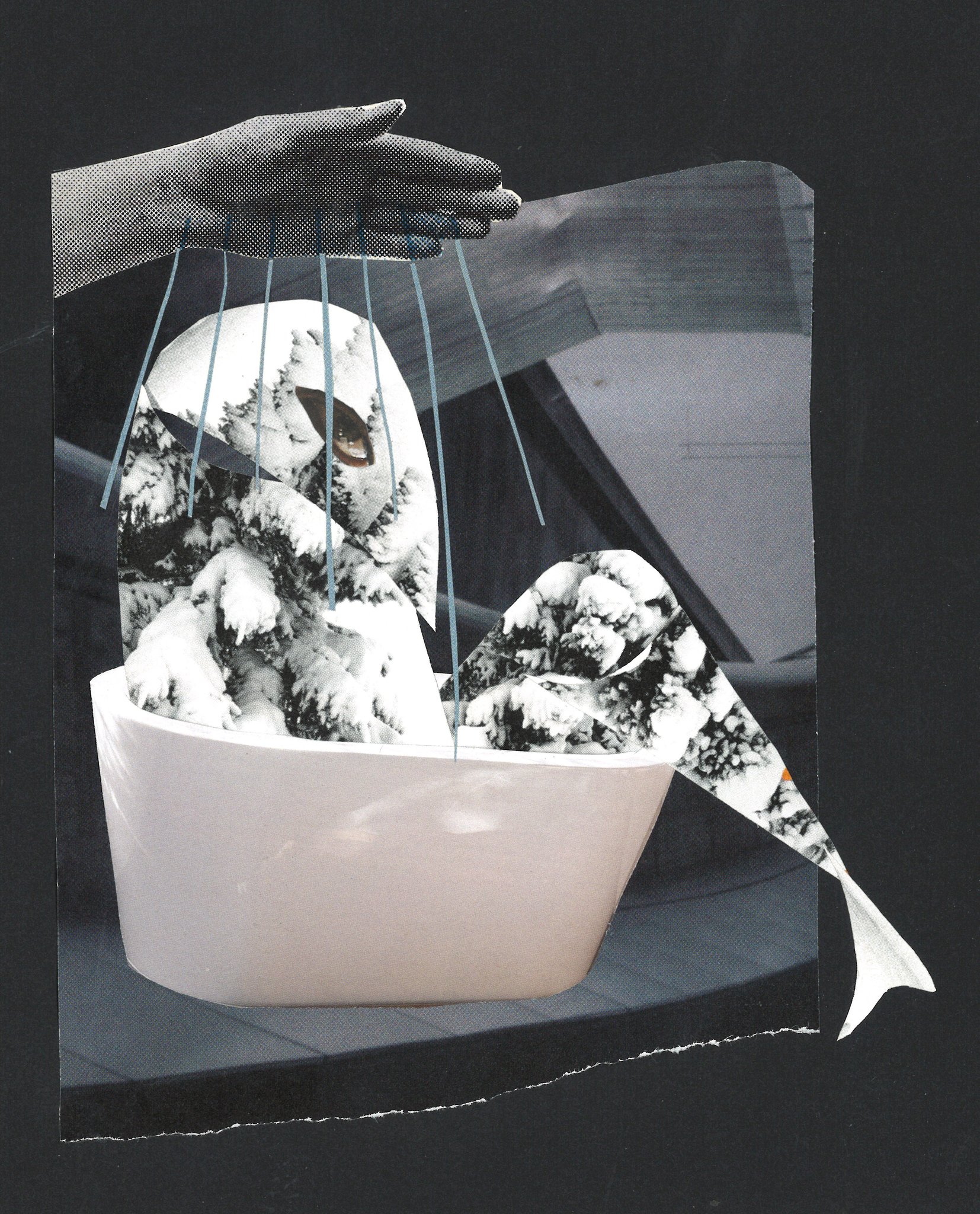 Collage by Sae Kimura