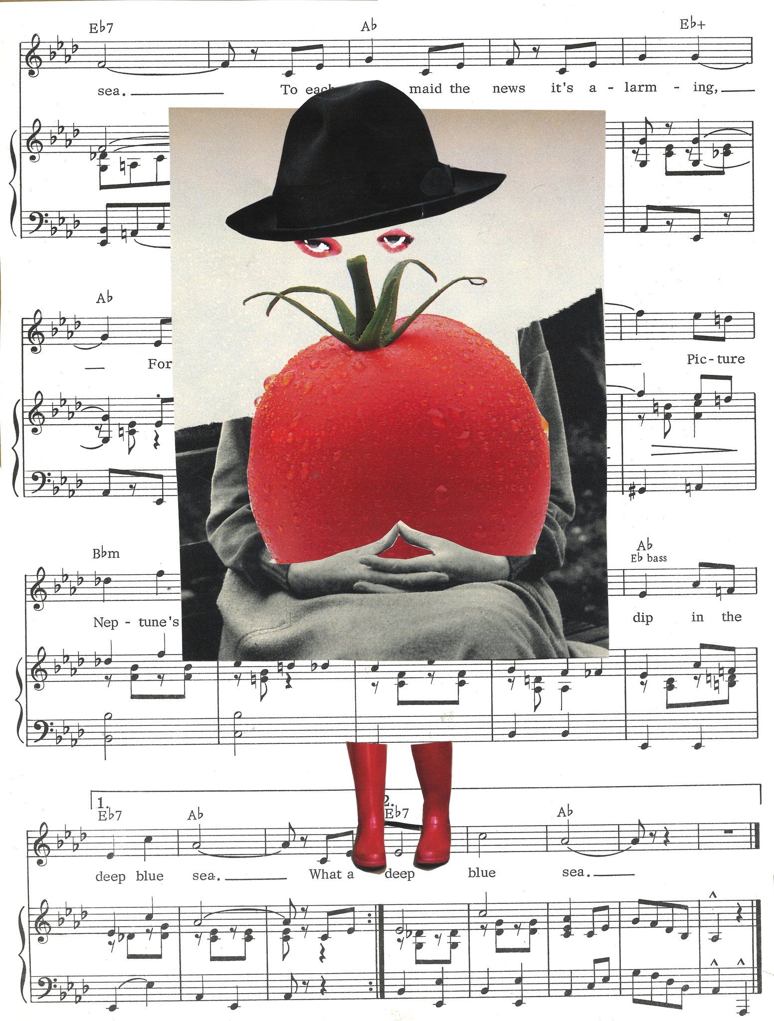 Collage by Sae Kimura