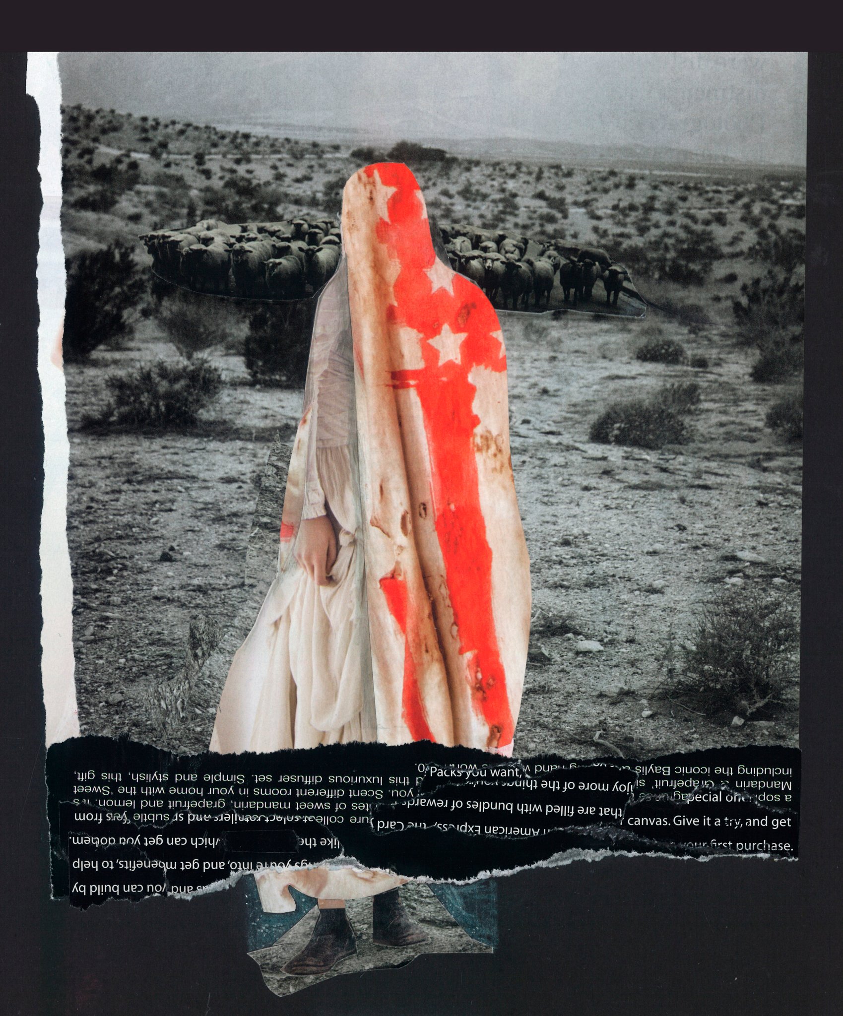 Collage by deborah harris