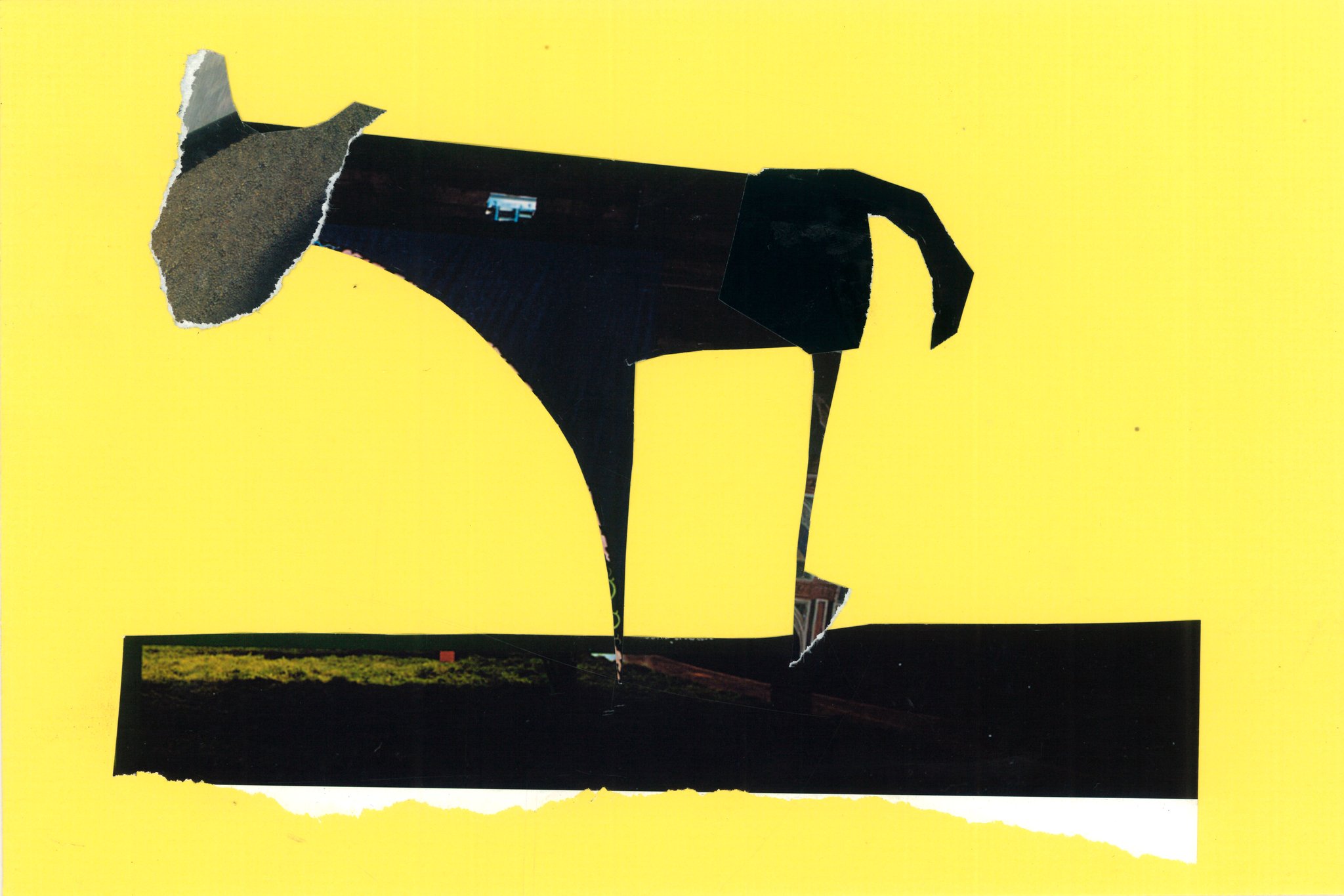 Collage by Eron Boyd