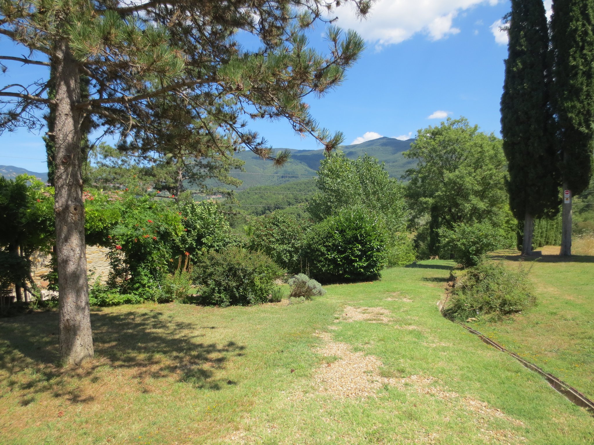 Unser Ferienanwesen: Villa Casale di Renata, Loc. La Casa (Rassina) - 30'000 qm Umschwung (Grundstück)