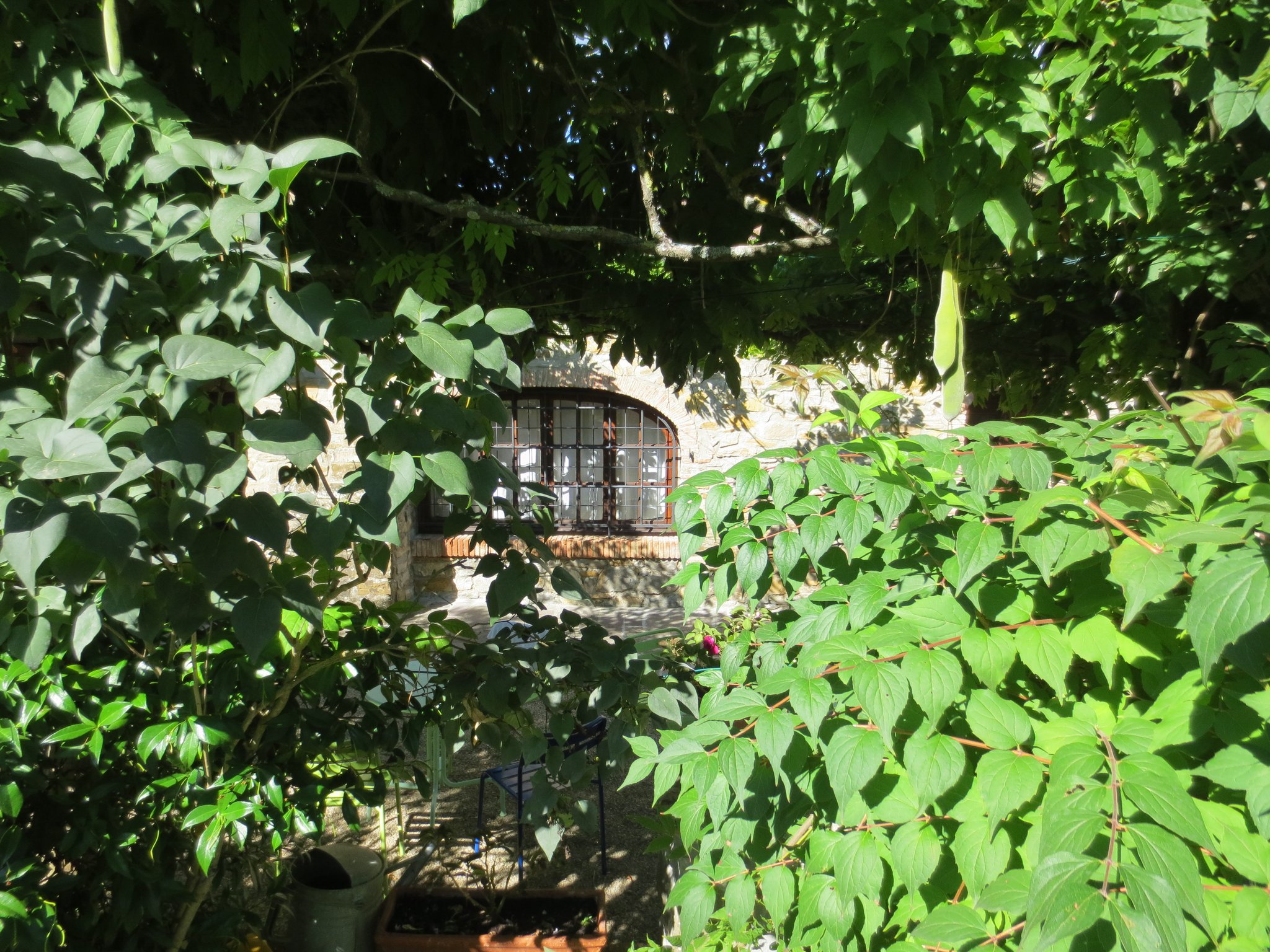 Unser Ferienanwesen: Villa Casale di Renata, Loc. La Casa (Rassina)