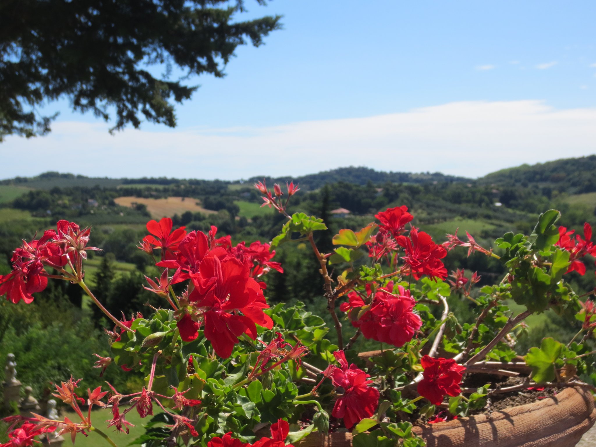 Ausklang der Ferien in der Villa Cattani Stuart XVII sec., Trebbiantico (Pesaro, Le Marche)
