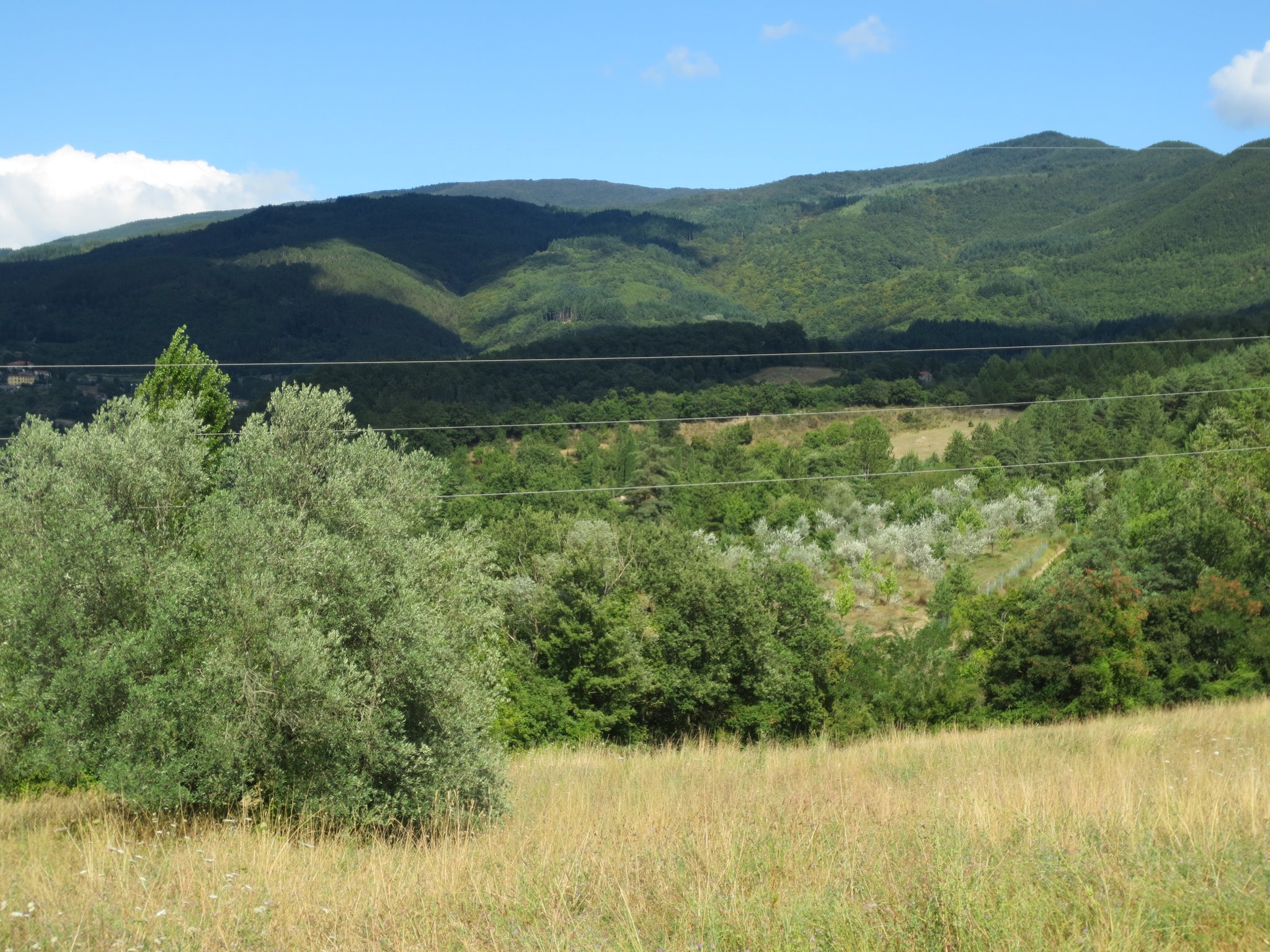 Unser Ferienanwesen: Villa Casale di Renata, Loc. La Casa (Rassina) - 30'000 qm Umschwung (Grundstück)