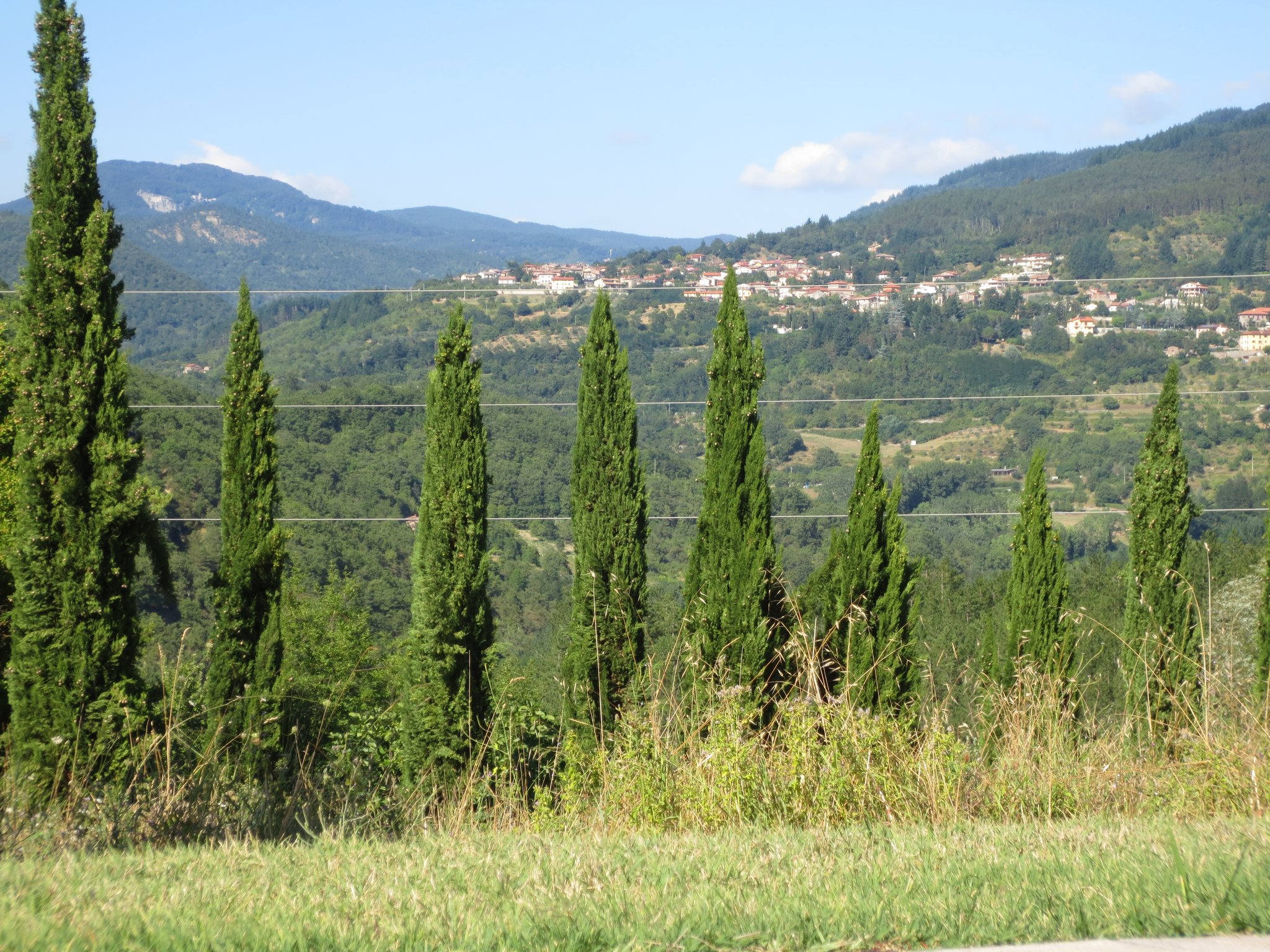 Unser Ferienanwesen: Villa Casale di Renata, Loc. La Casa (Rassina) - 30'000 qm Umschwung (Grundstück)