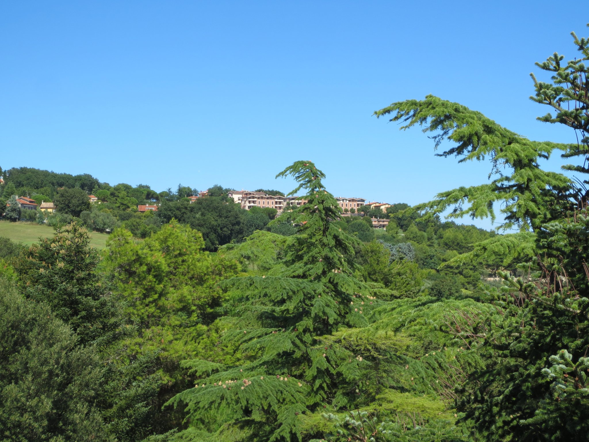 Ausklang der Ferien in der Villa Cattani Stuart XVII sec., Trebbiantico (Pesaro, Le Marche)