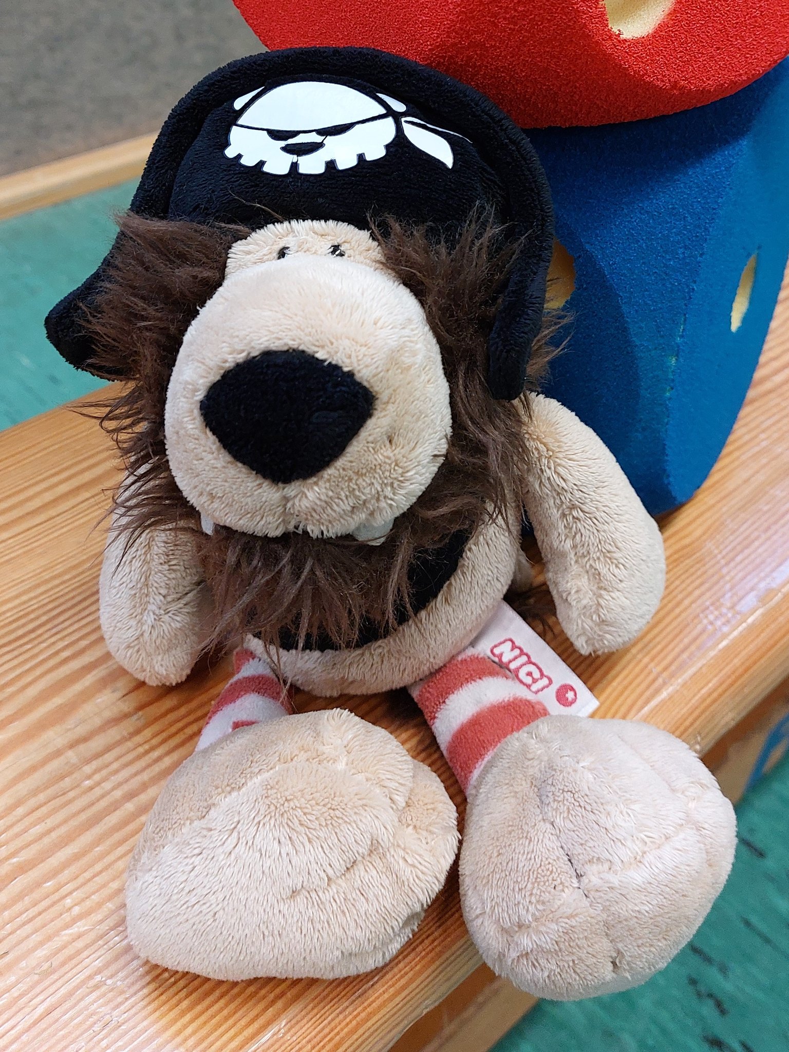 Klasse 4a - Klassenlehrerin Frau Molitor - Klassentier Leo, der Löwe