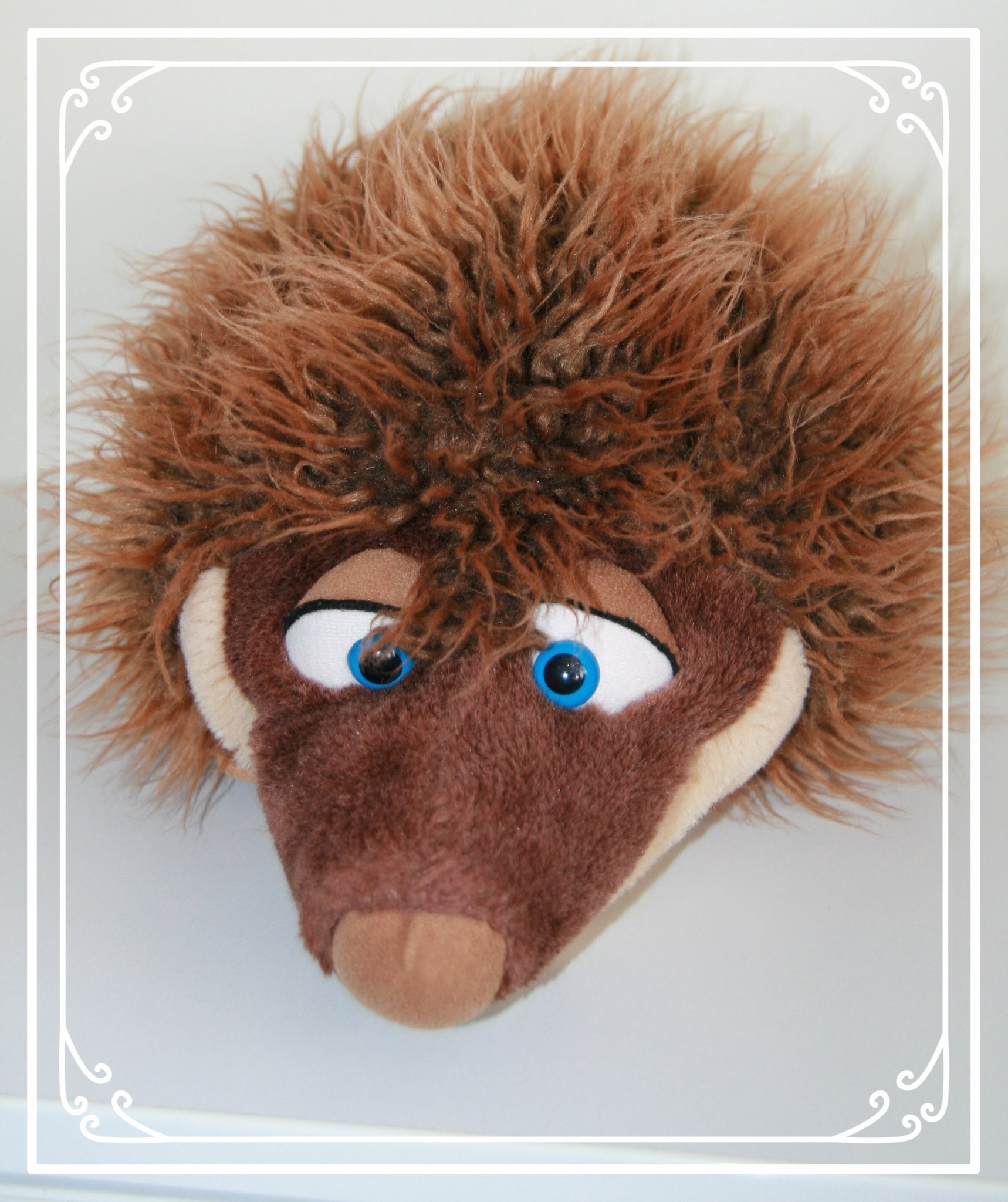 Klasse 1d - Klassenlehrerin Frau Leweling - Klassentier Anton, der Igel