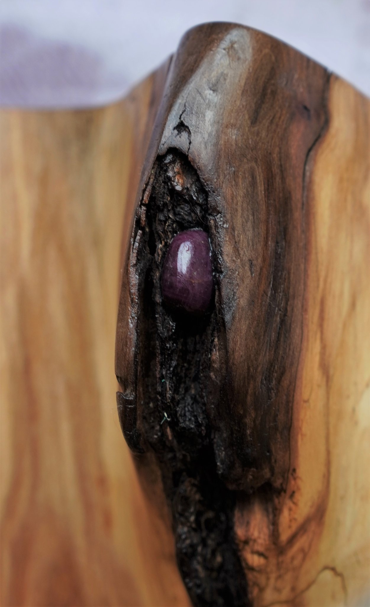 Der Kitzler  (Rubinstein)