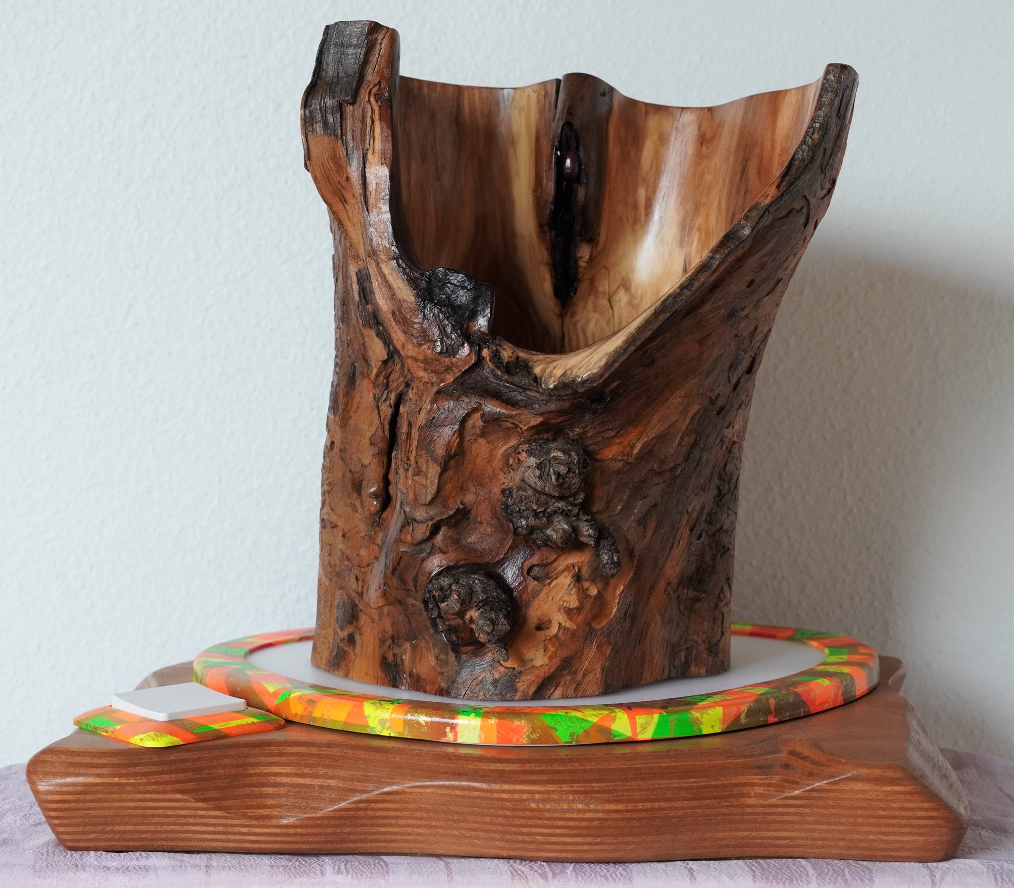 Der Kitzler  (komplett)