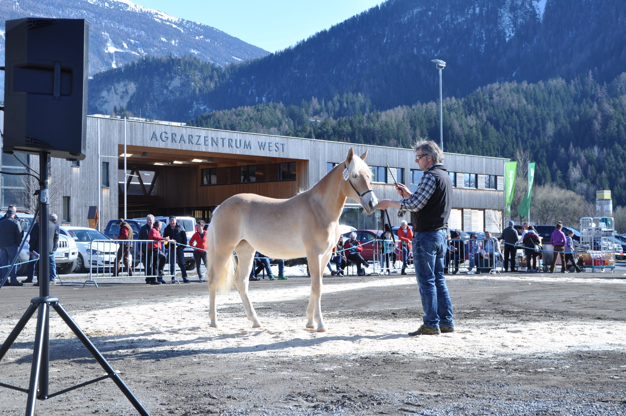 Kat.Nr 133 Brijana geb. 12.03.2017 M: 18169/T Beatrice V: liz.266/T Straden Züchter u. Besitzer: Thöni Reinhard, Pfunds