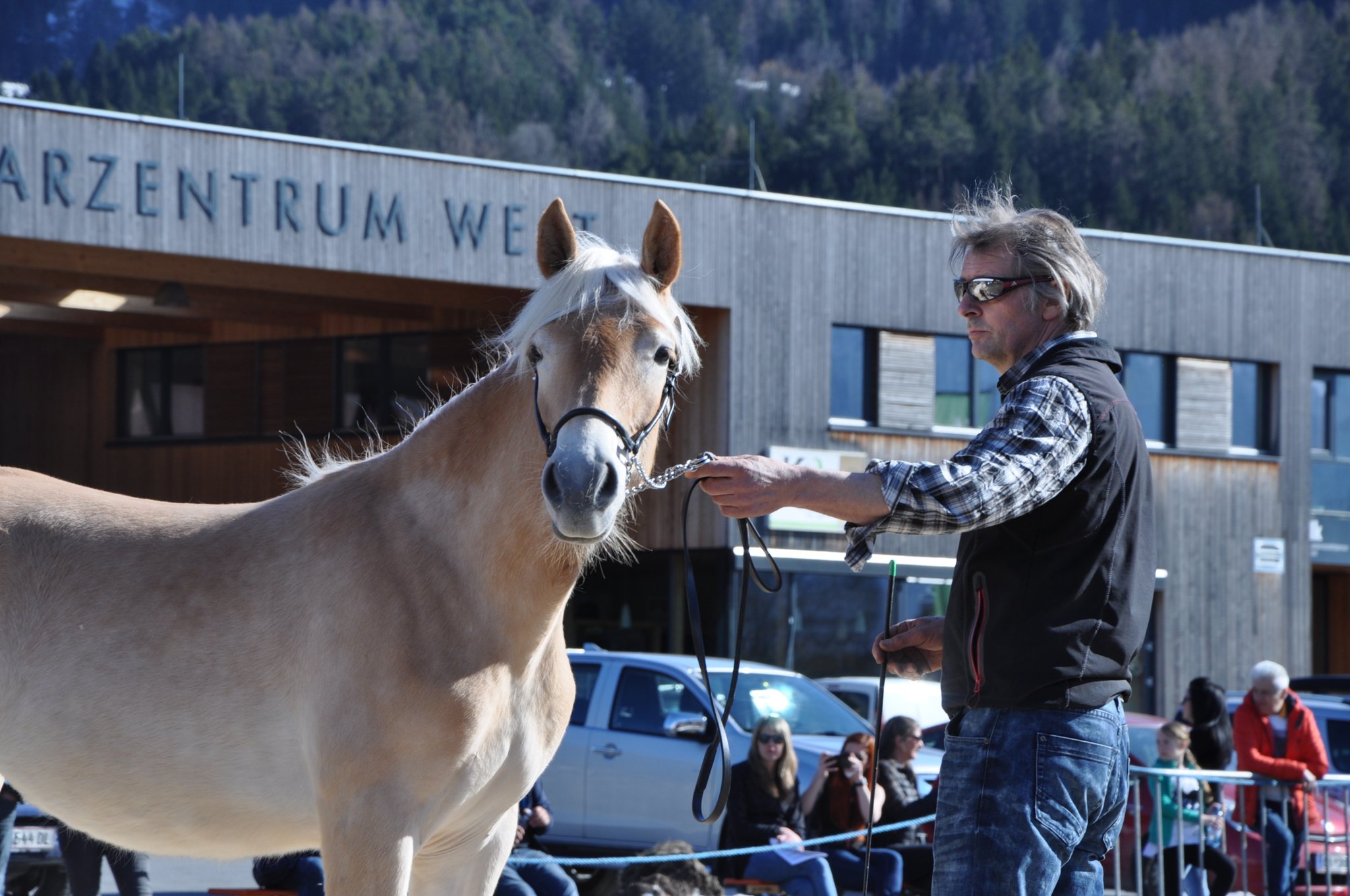 Kat.Nr 133 Brijana geb. 12.03.2017 M: 18169/T Beatrice V: liz.266/T Straden Züchter u. Besitzer: Thöni Reinhard, Pfunds