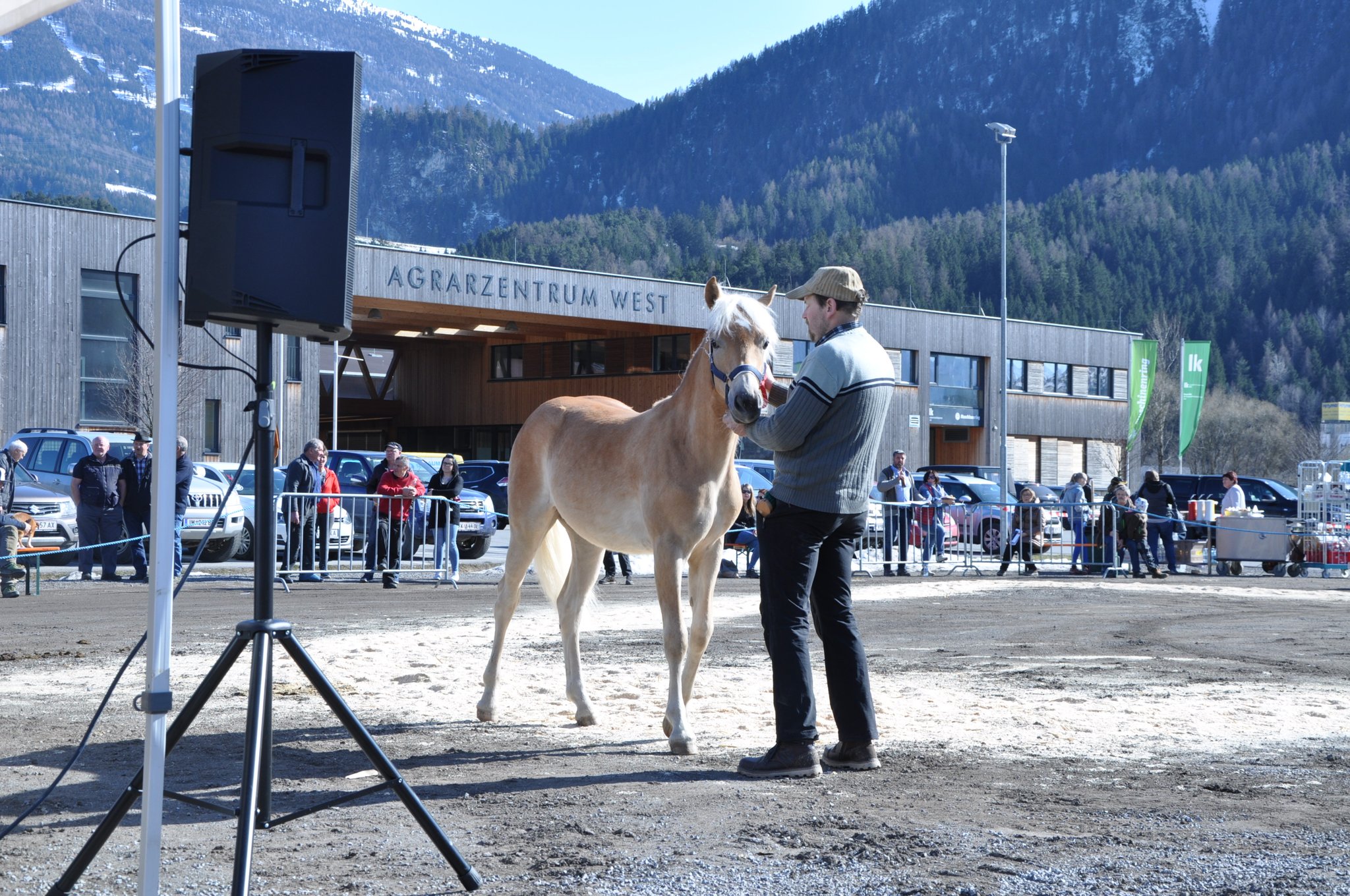 Kat.Nr 123 Ladana geb. 18.02.2017 M: 18661/T Lioresa V: liz.482/T Sterndal Besitzer: Köhle Gerald & Martin, Pfunds