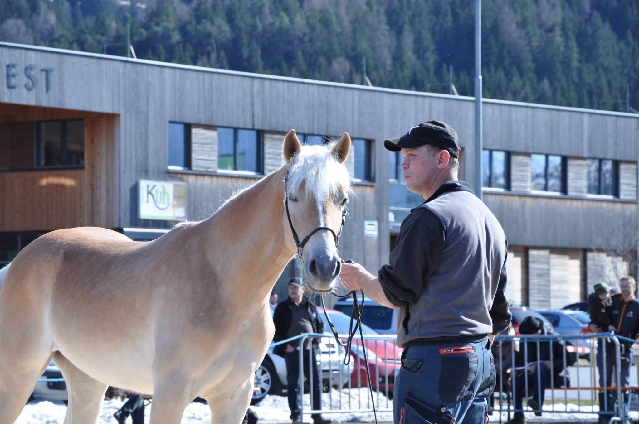 Kat.Nr 126 Chora geb.14.03.2017 M: 19235/T Cabanas V: liz.350/T Stainz Besitzer: Mark Thomas, Pfunds