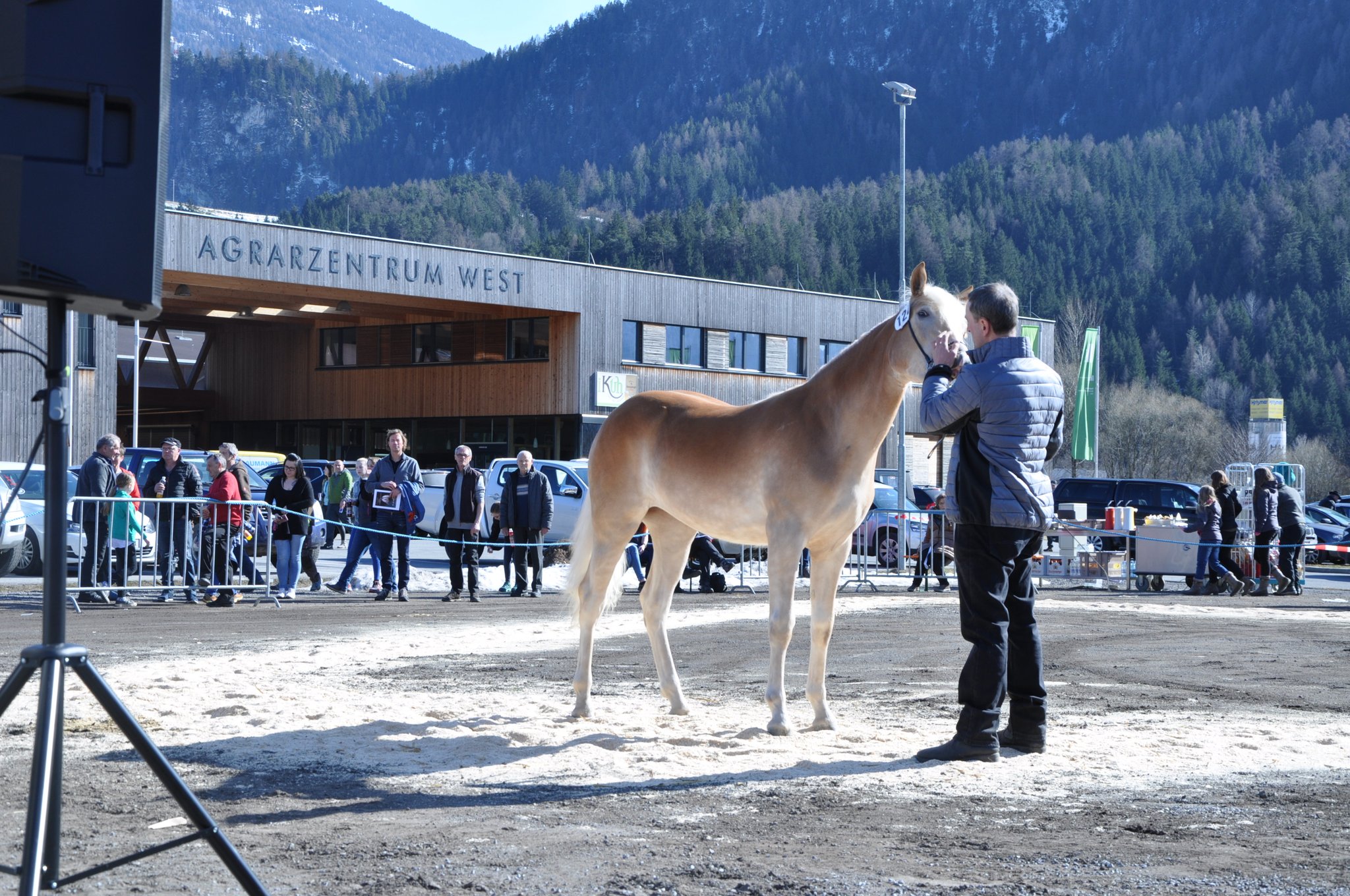 Kat.Nr 124 Cora-Anna geb. 16.02.2017 M: L20049/T Cora V: liz.410/T Sevruga Besitzer: Mark Christian, Pfunds