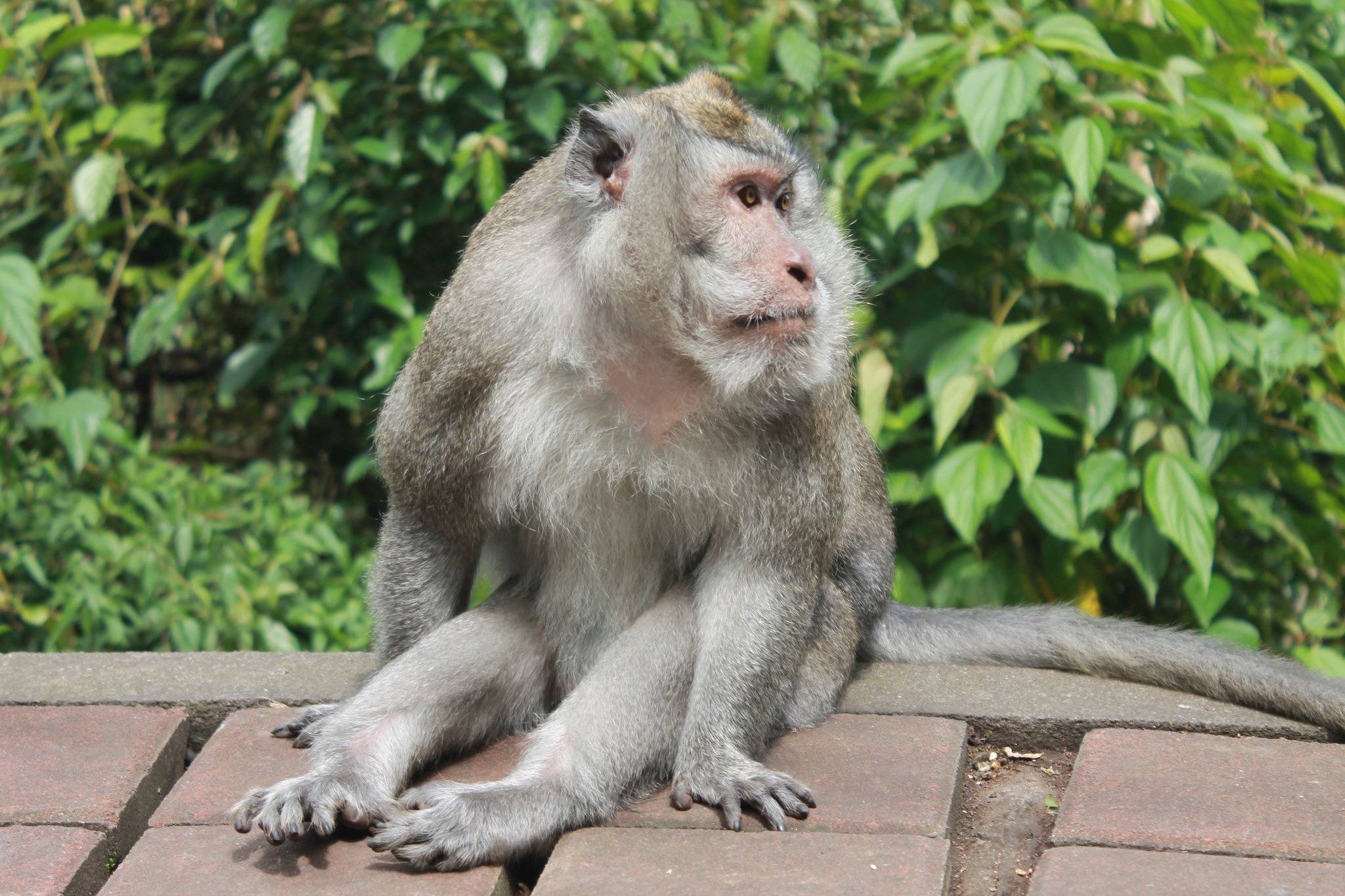 Bali Balo Motor & Tours: Live unforgatable moments!