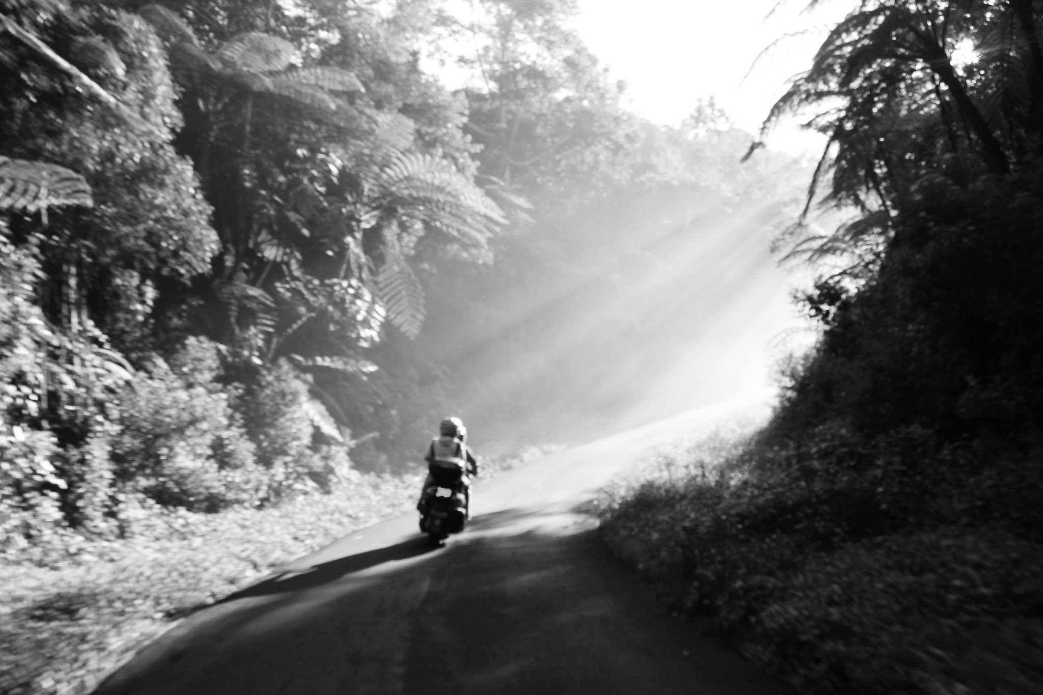 Bali Balo Motor: We offer you top of the range scooters adapted to your needs.