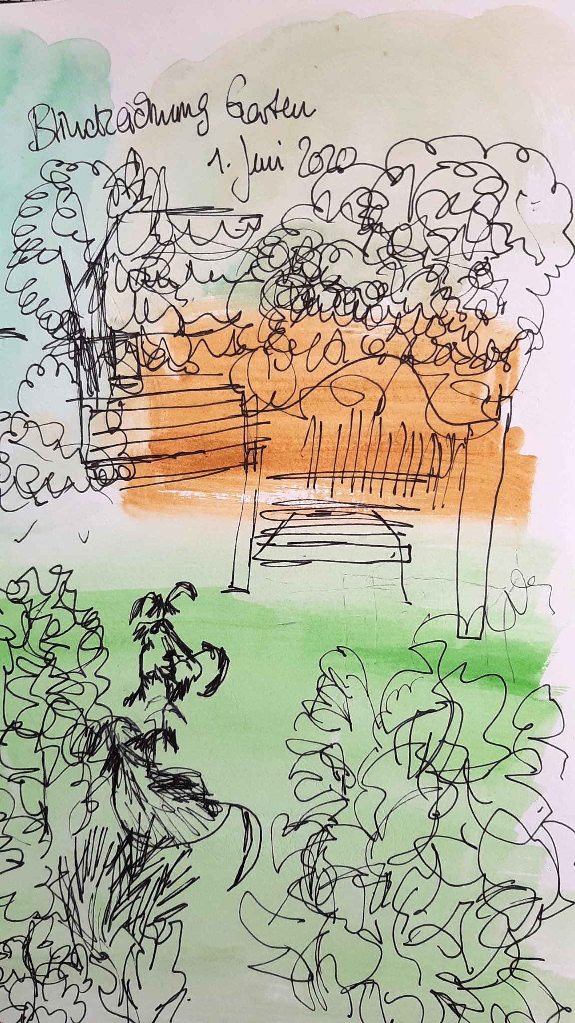 Silkes Blick in den Garten ohne Hinsehen