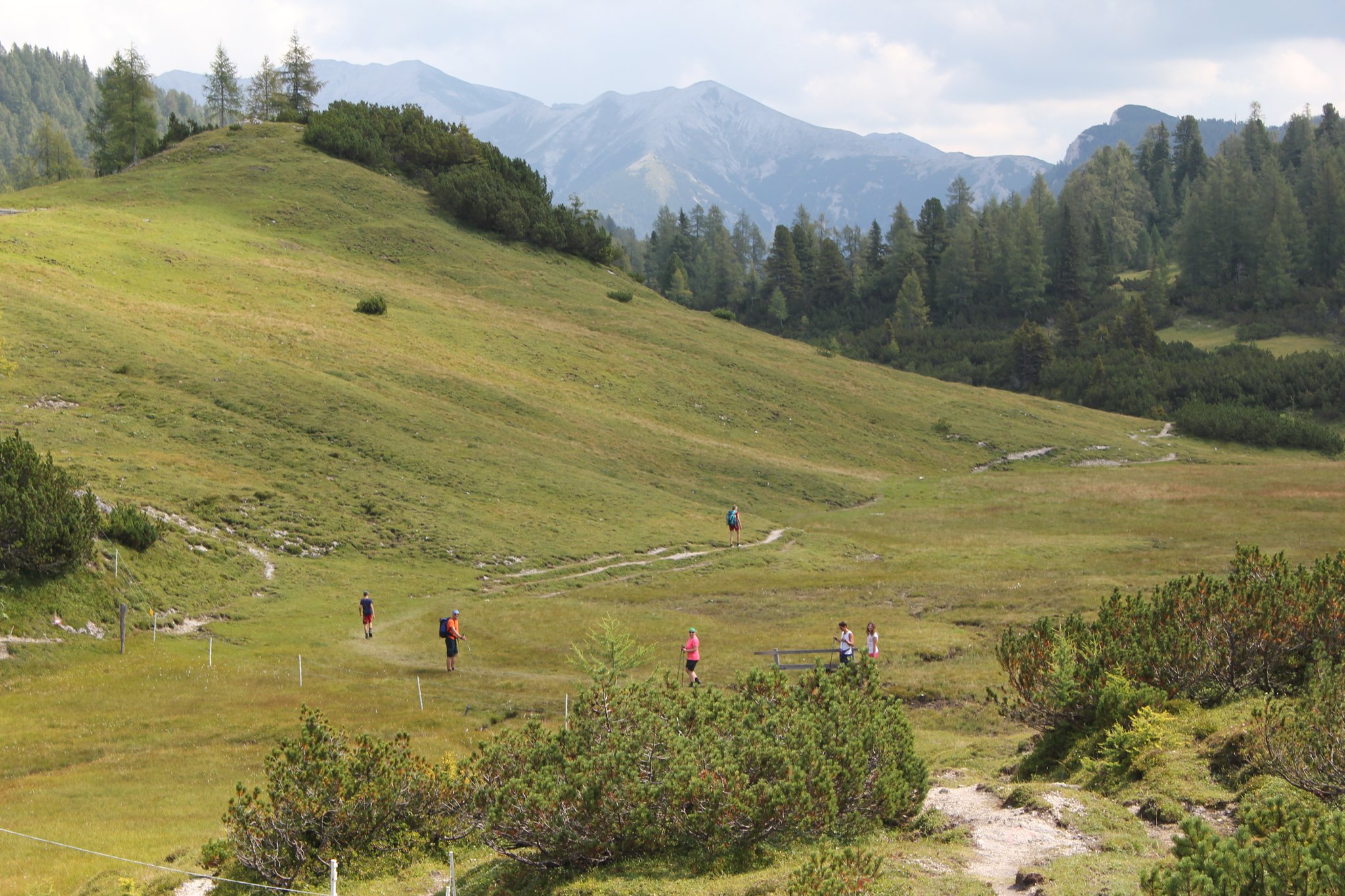 wunderschöner Trail über das Almplateau Richtung Interhütte