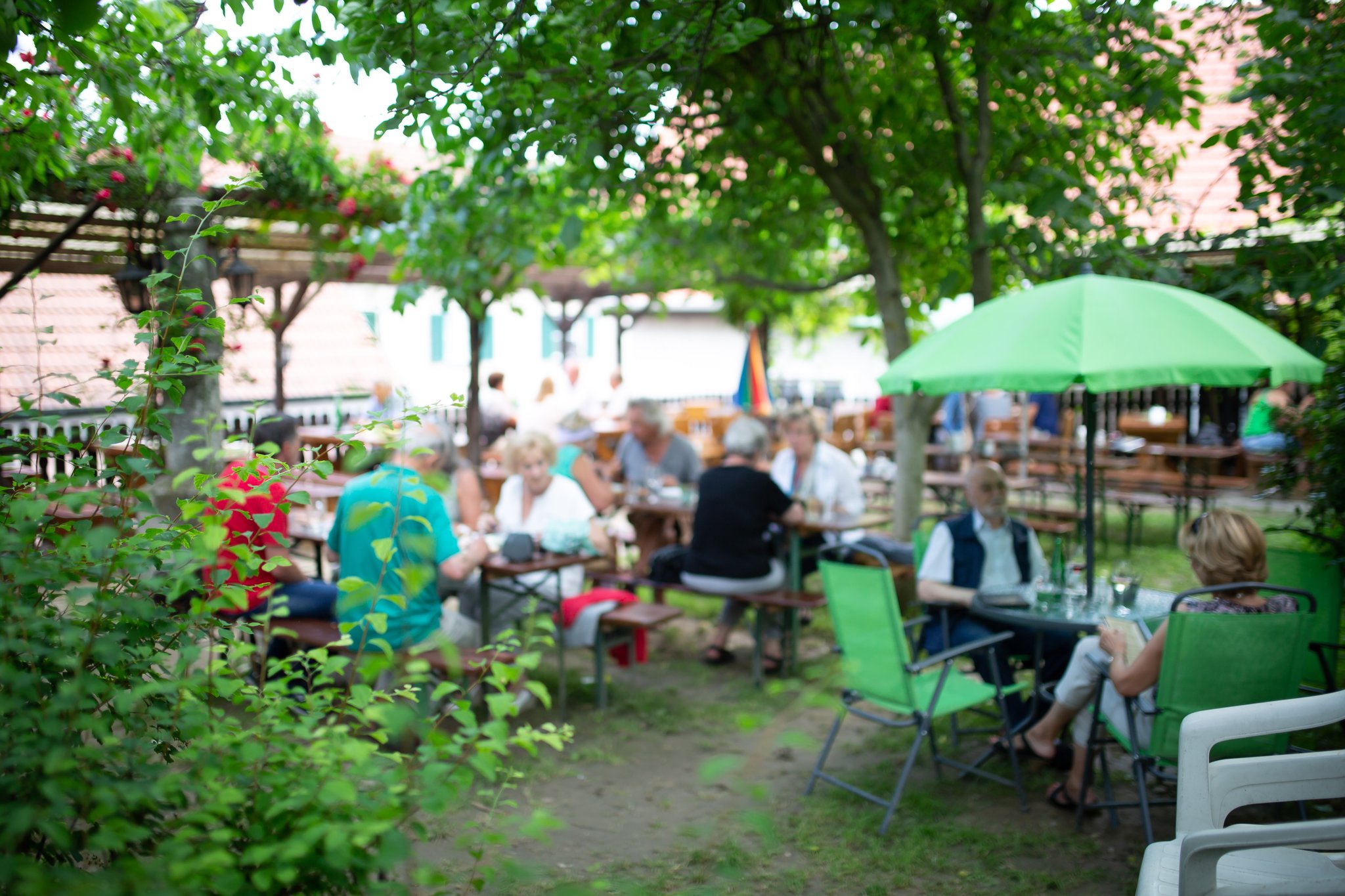 Entspannen Sie im Garten direkt über der Steiner Altstadt!