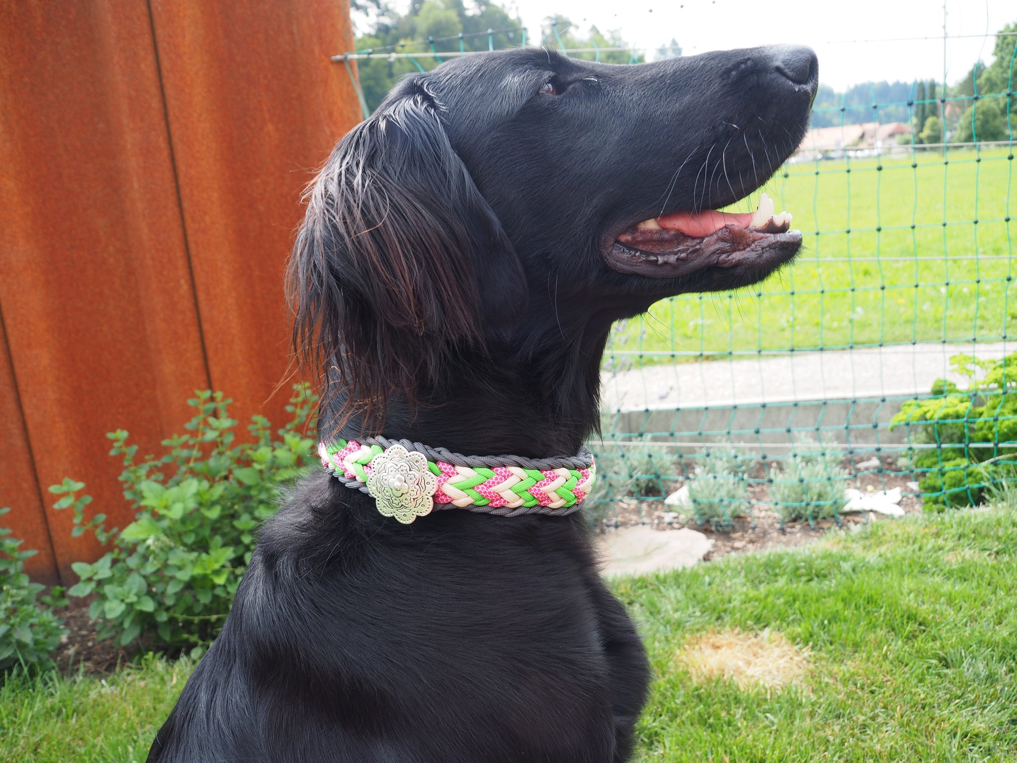 Halsband Luna’s Crown