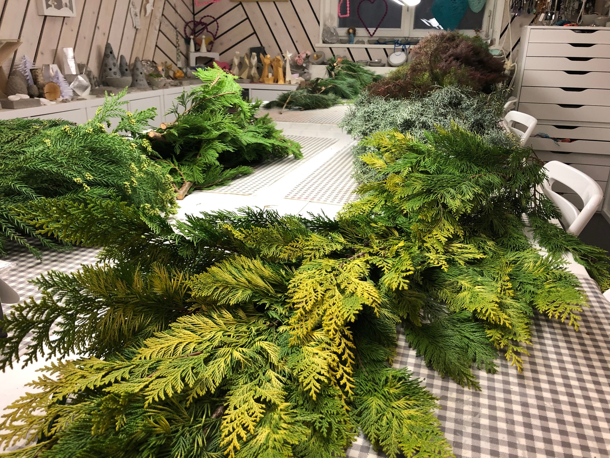 Äste und Zweige von Tannenbaum.ch